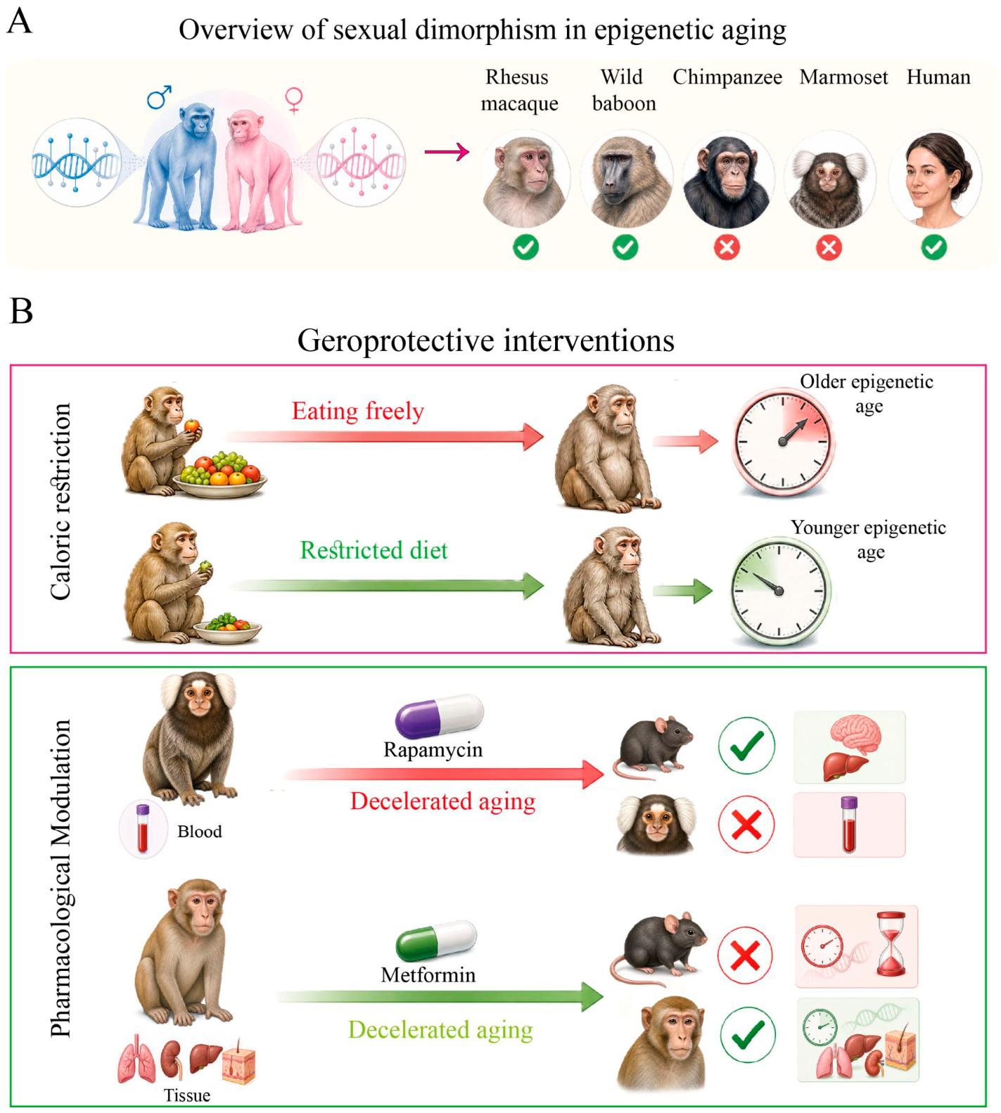 Genes 17 00905 g004