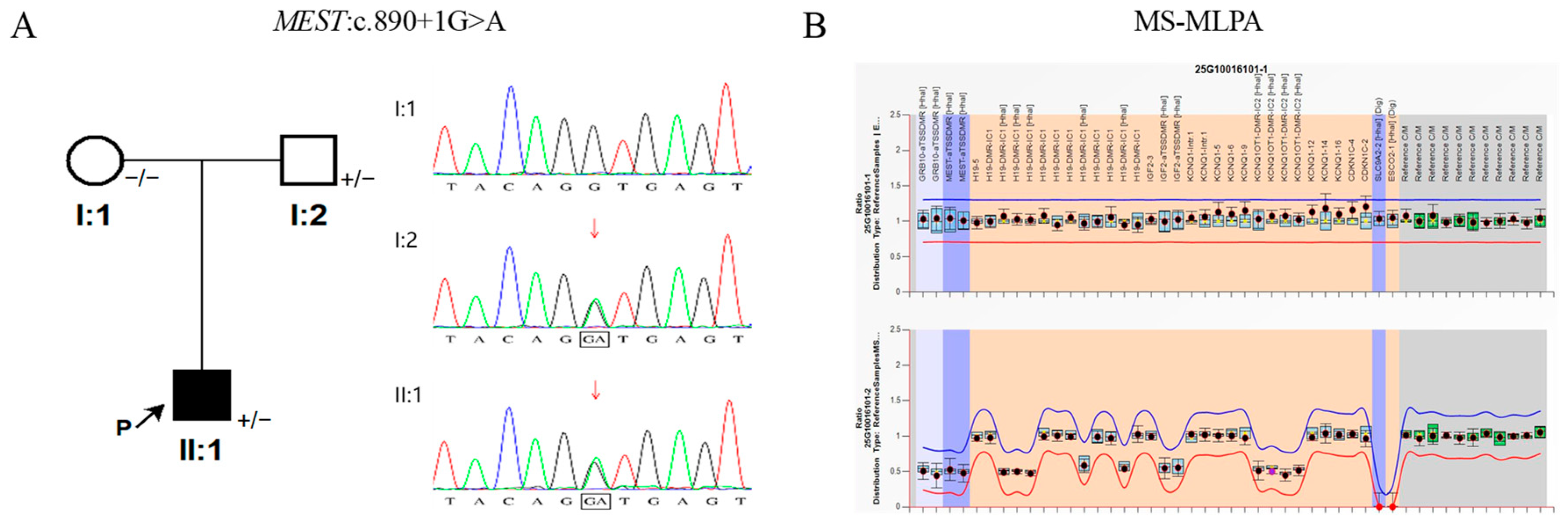 Genes 17 00992 g001 Genes 17 00992 g001