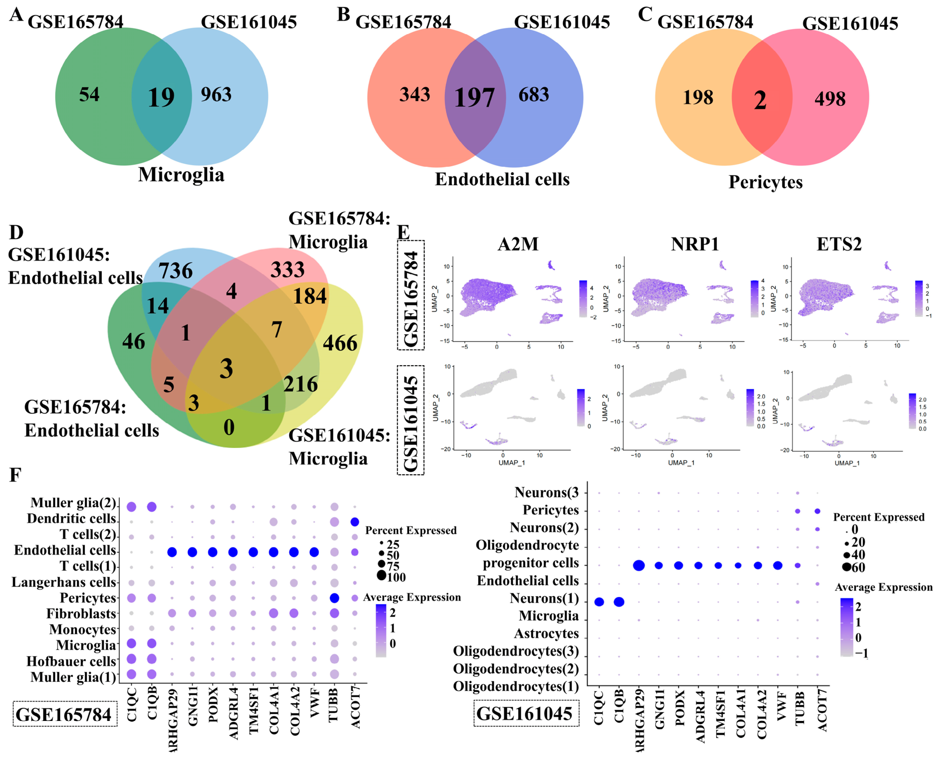 Genes 17 01004 g003 Genes 17 01004 g003