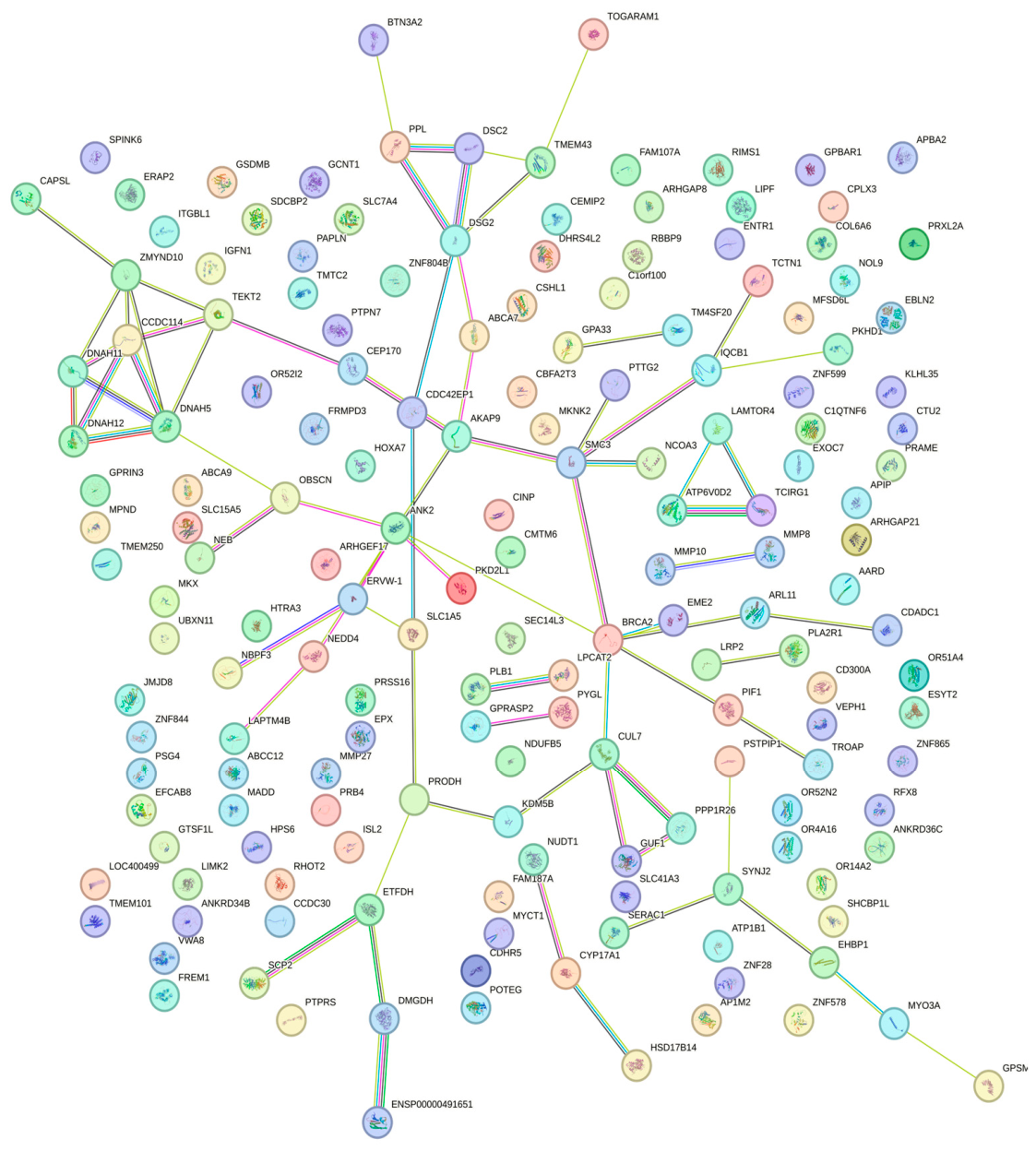 Genes 17 01187 g005 Genes 17 01187 g005
