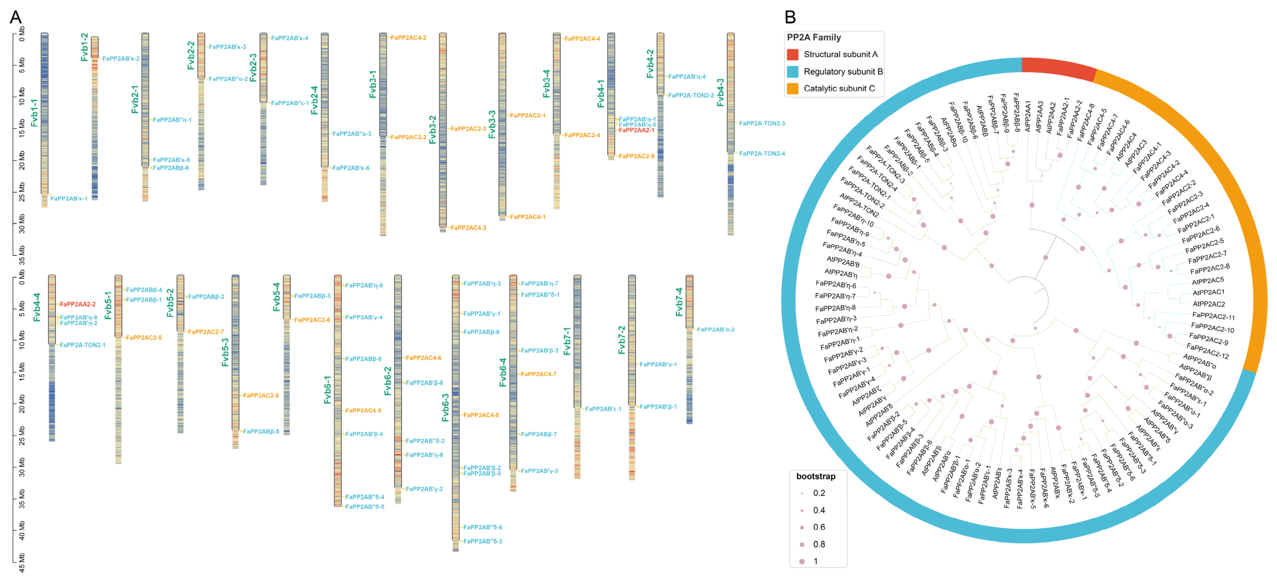 Genes 17 01213 g001 Genes 17 01213 g001