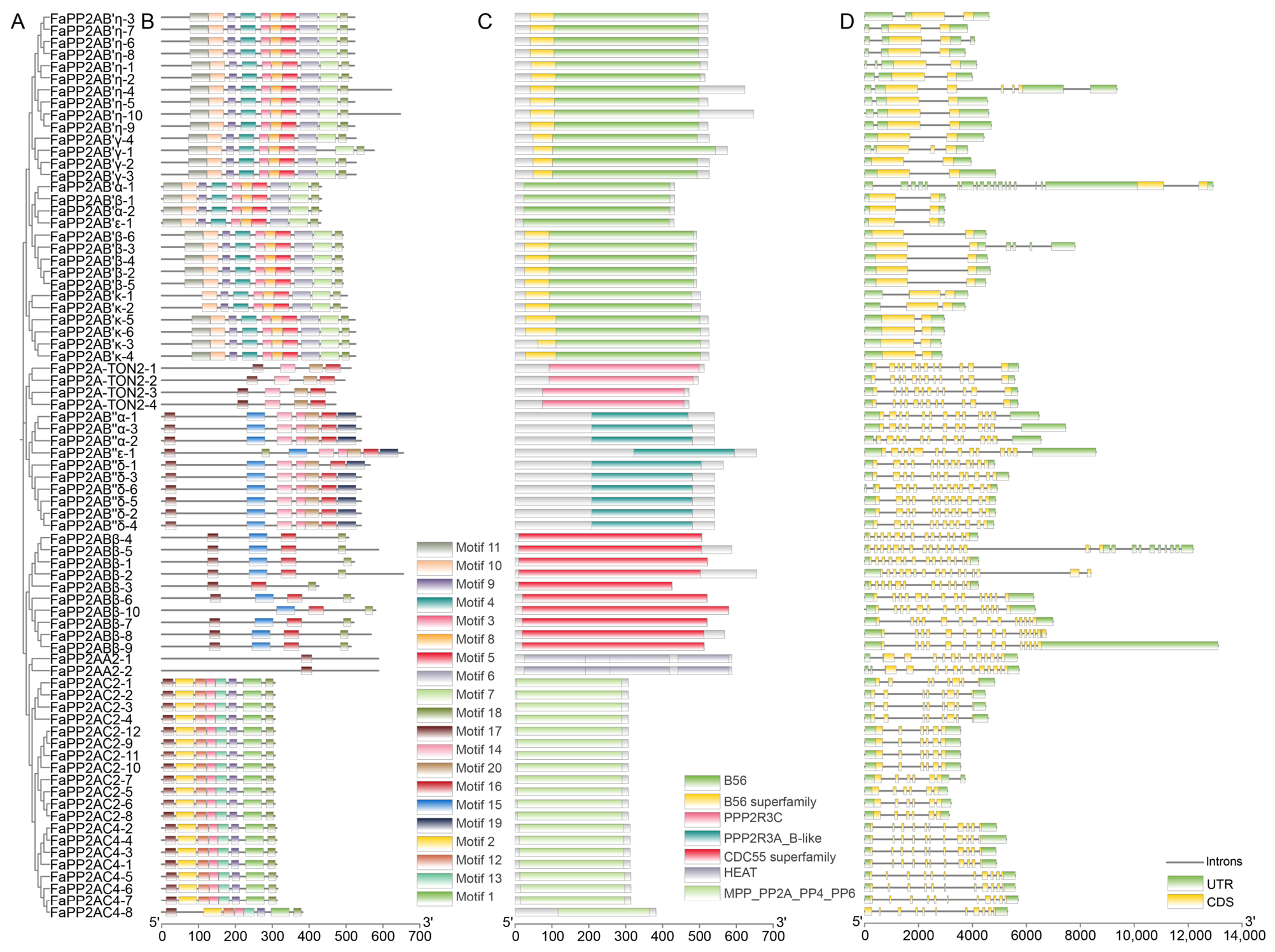Genes 17 01213 g002 Genes 17 01213 g002