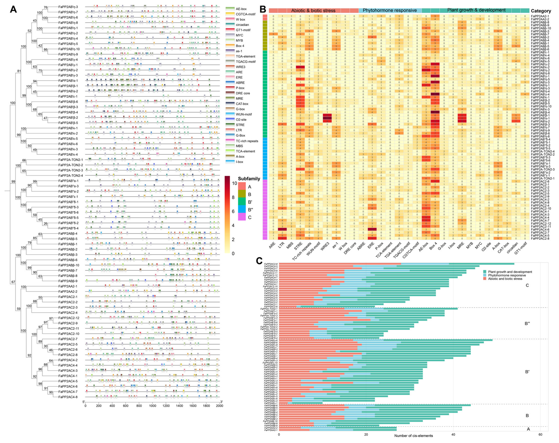 Genes 17 01213 g004 Genes 17 01213 g004