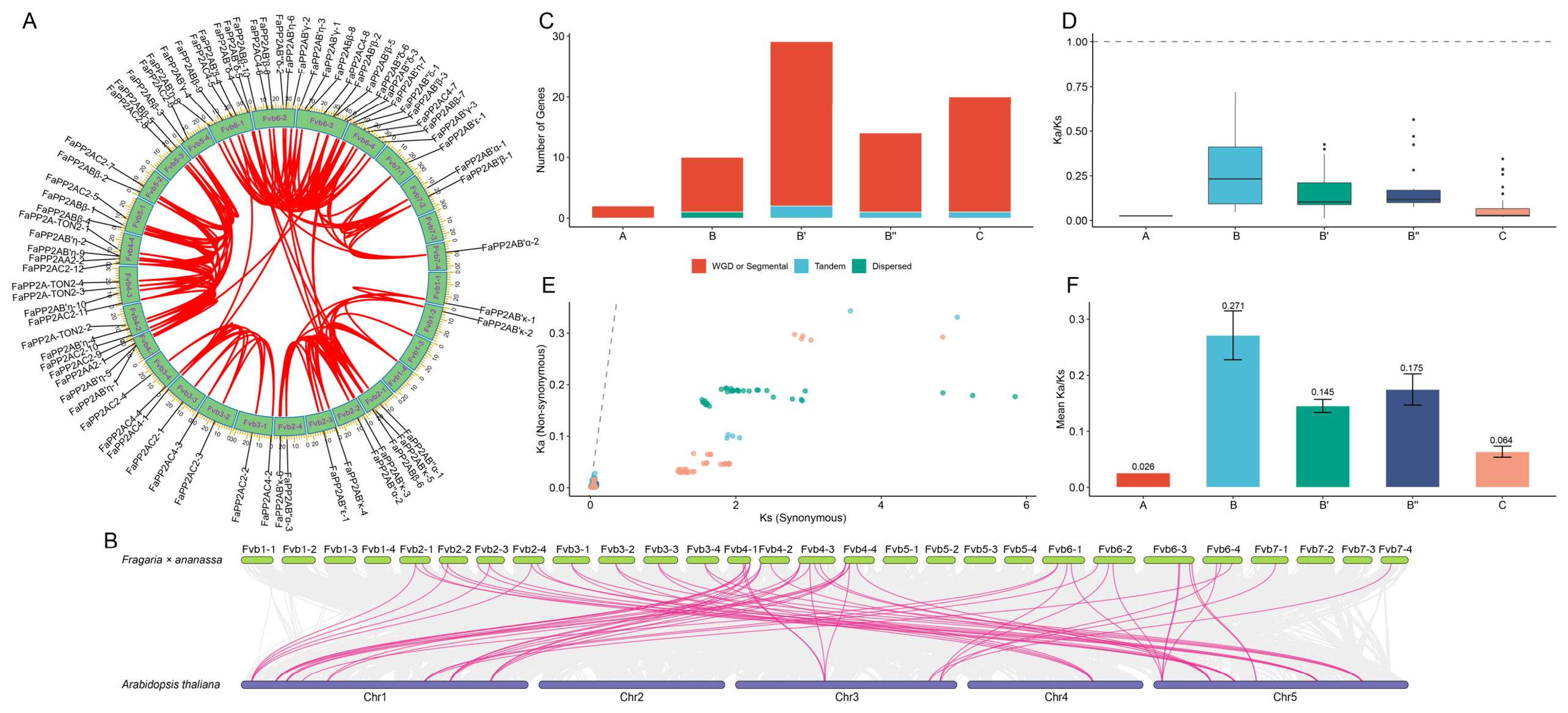 Genes 17 01213 g005 Genes 17 01213 g005