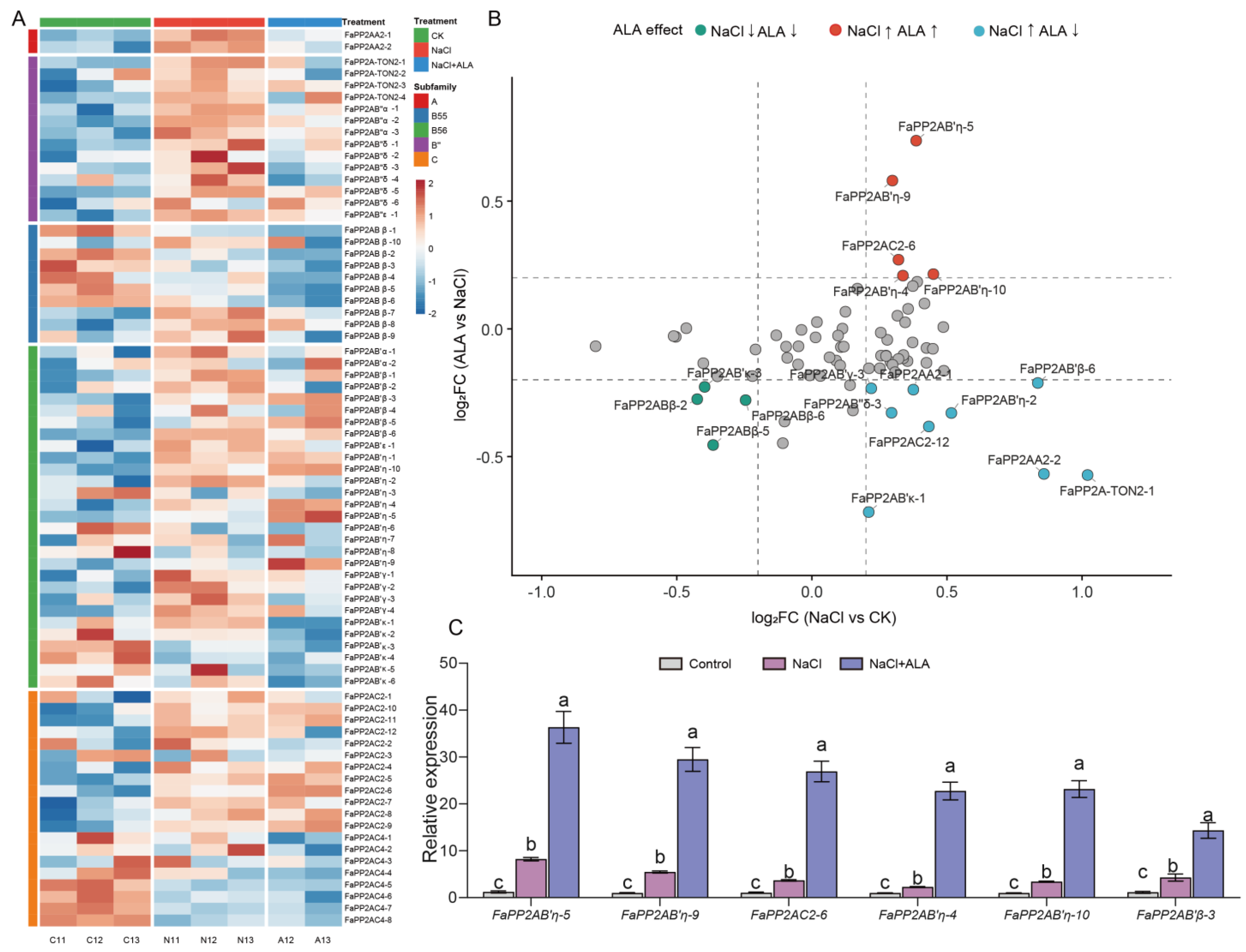 Genes 17 01213 g006 Genes 17 01213 g006