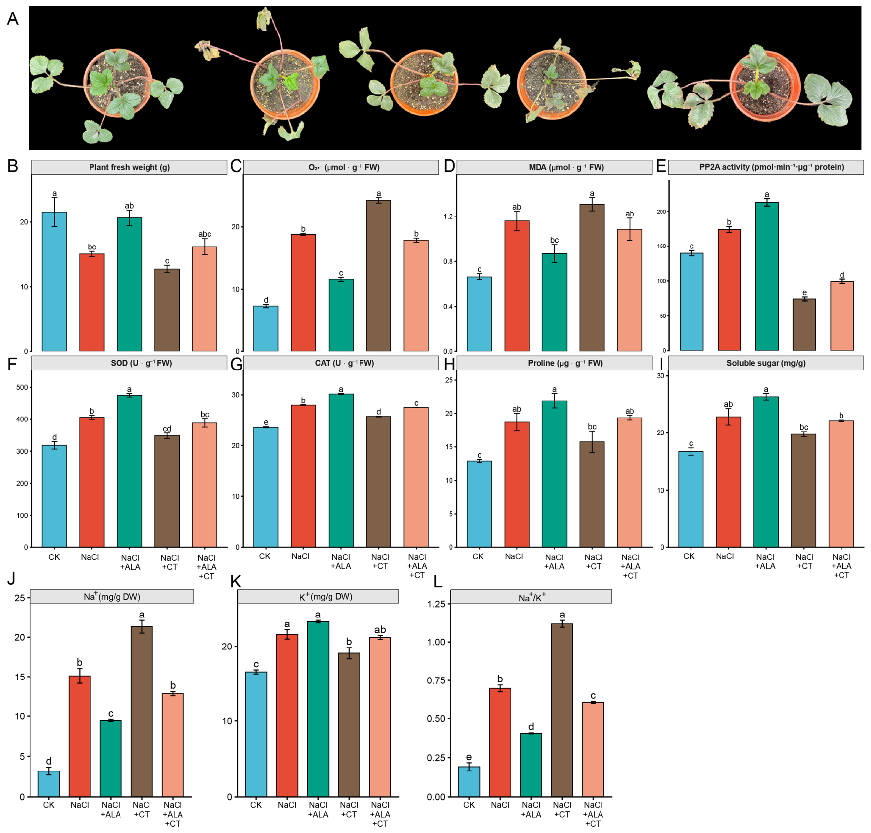 Genes 17 01213 g007 Genes 17 01213 g007