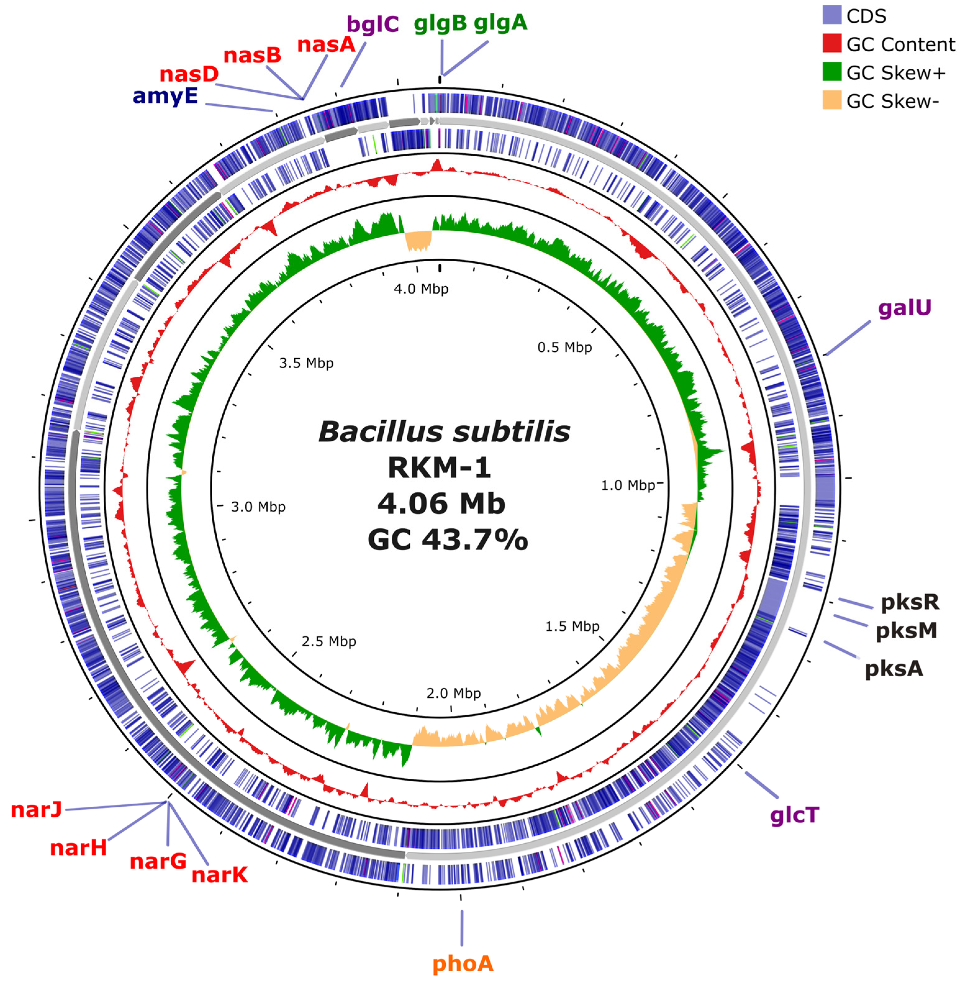 Genes 17 01222 g006