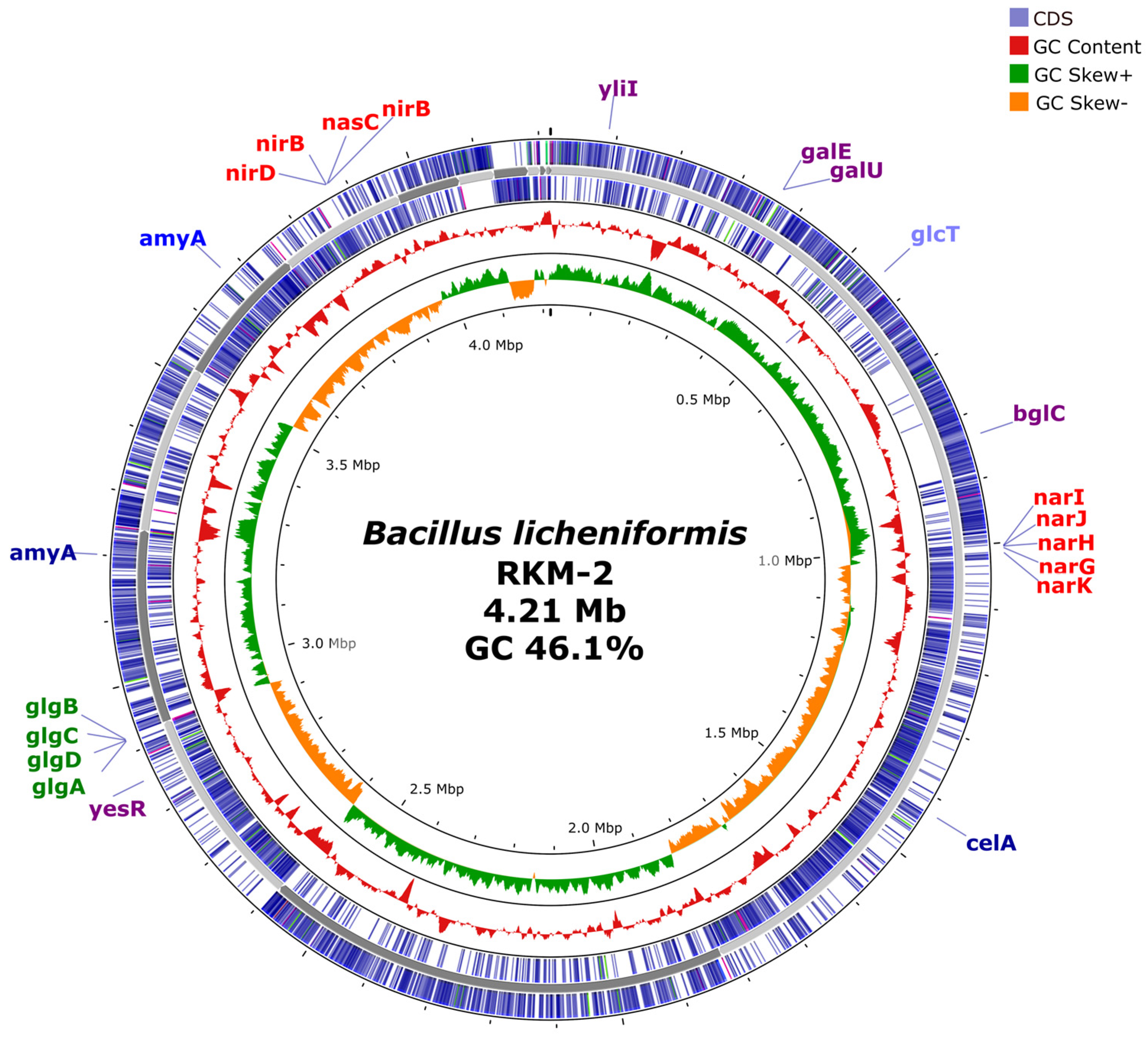 Genes 17 01222 g007