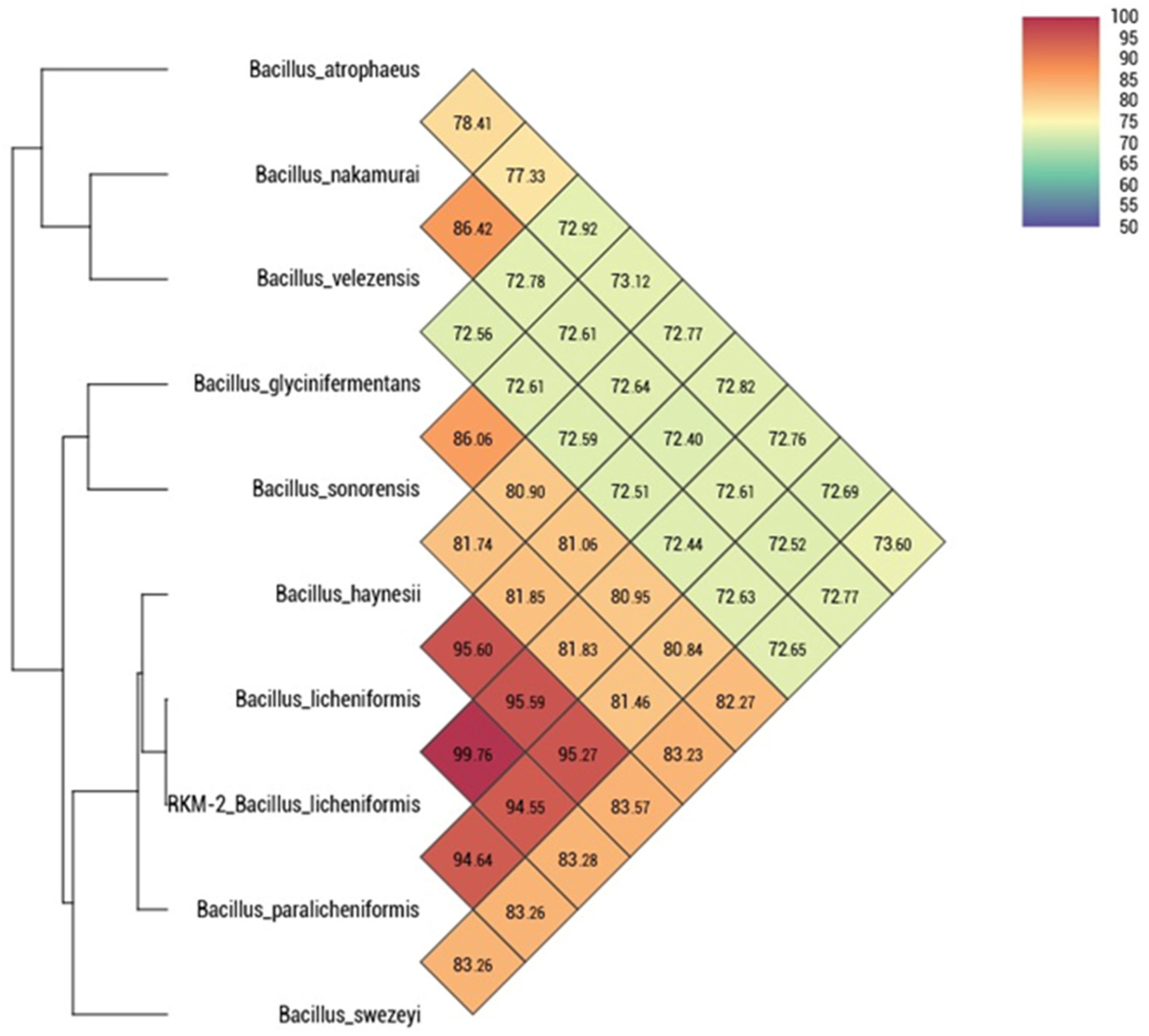 Genes 17 01222 g009