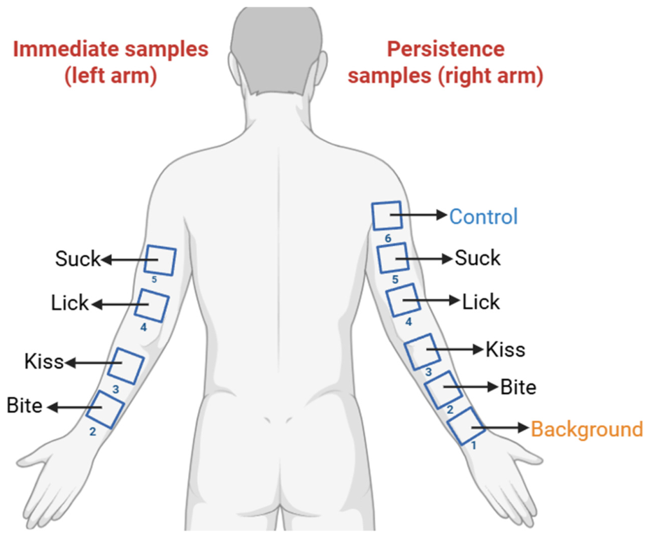 Genes 17 01229 g001