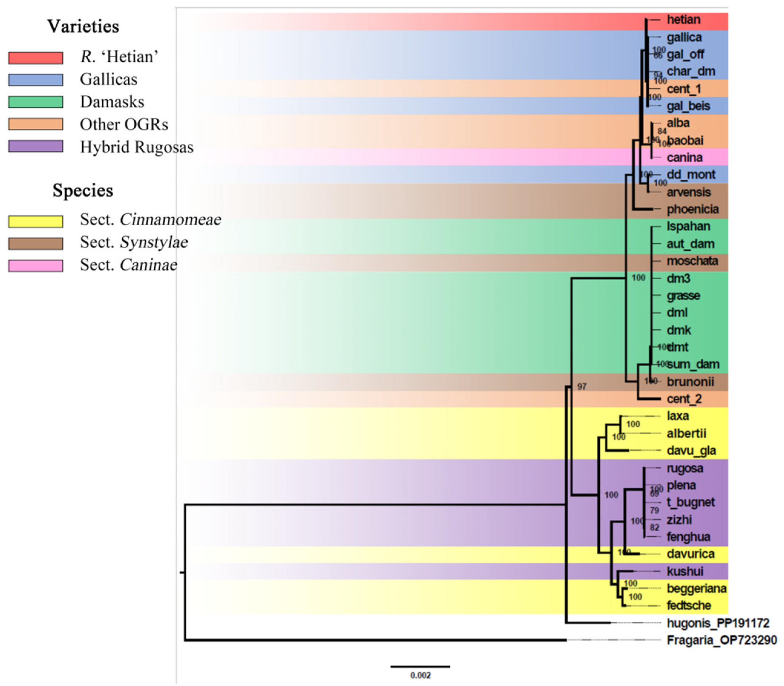 Genes 17 01234 g002 Genes 17 01234 g002