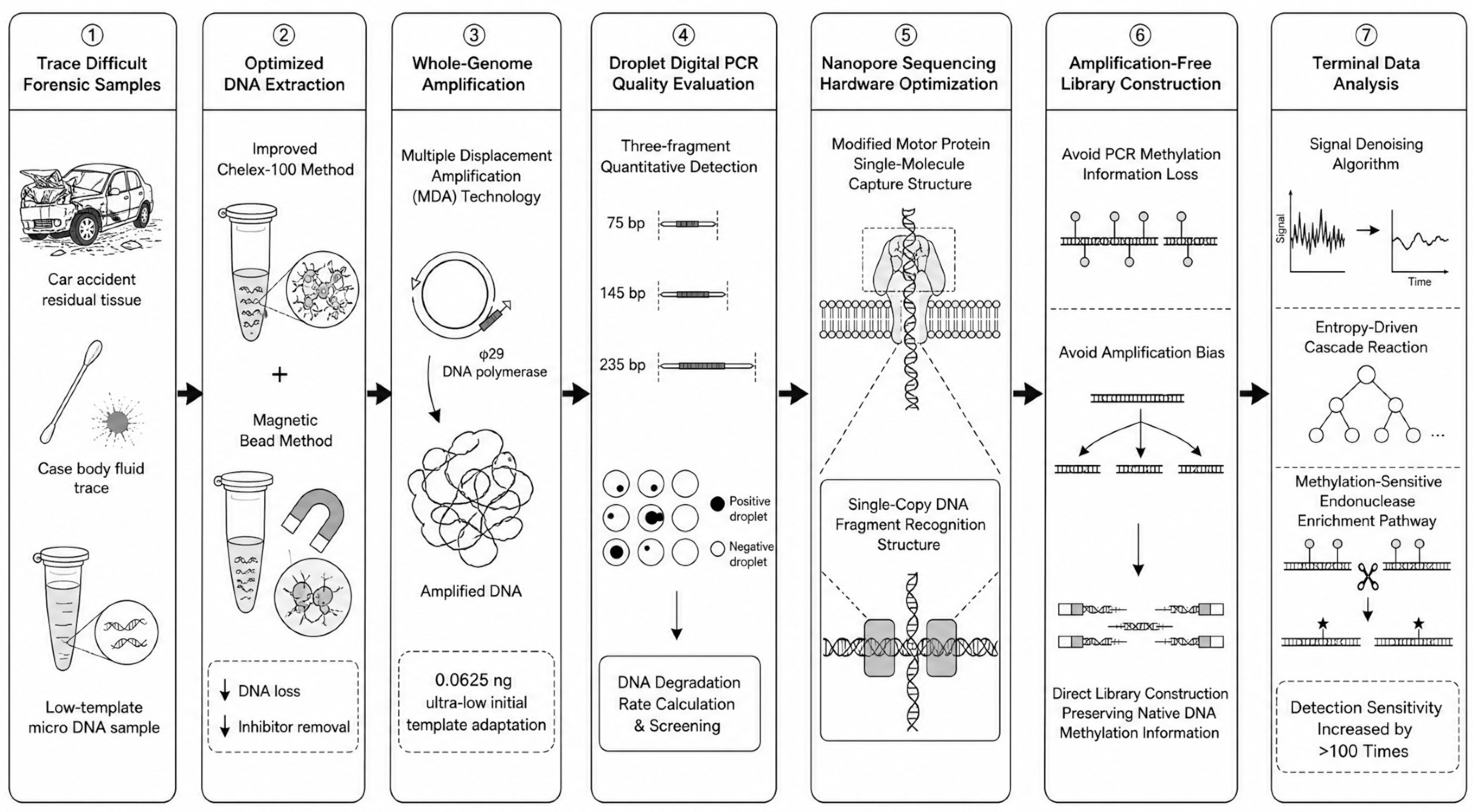 Genes 17 01235 g001