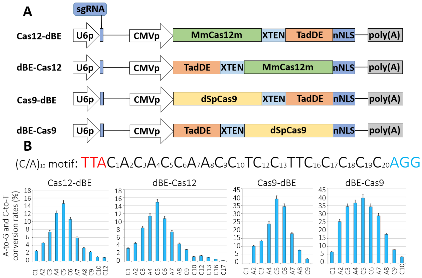 Genes 17 01247 g001