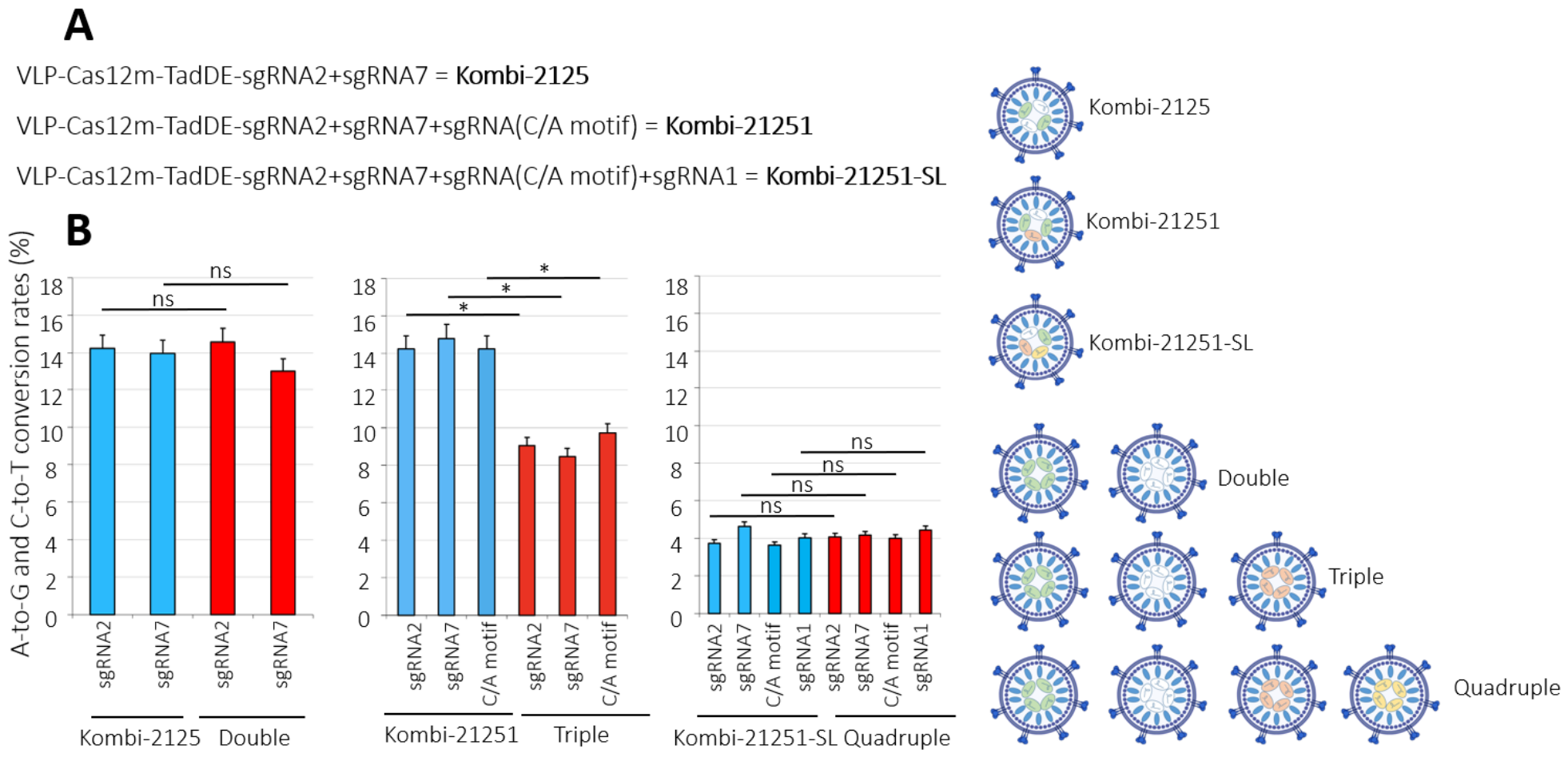 Genes 17 01247 g005