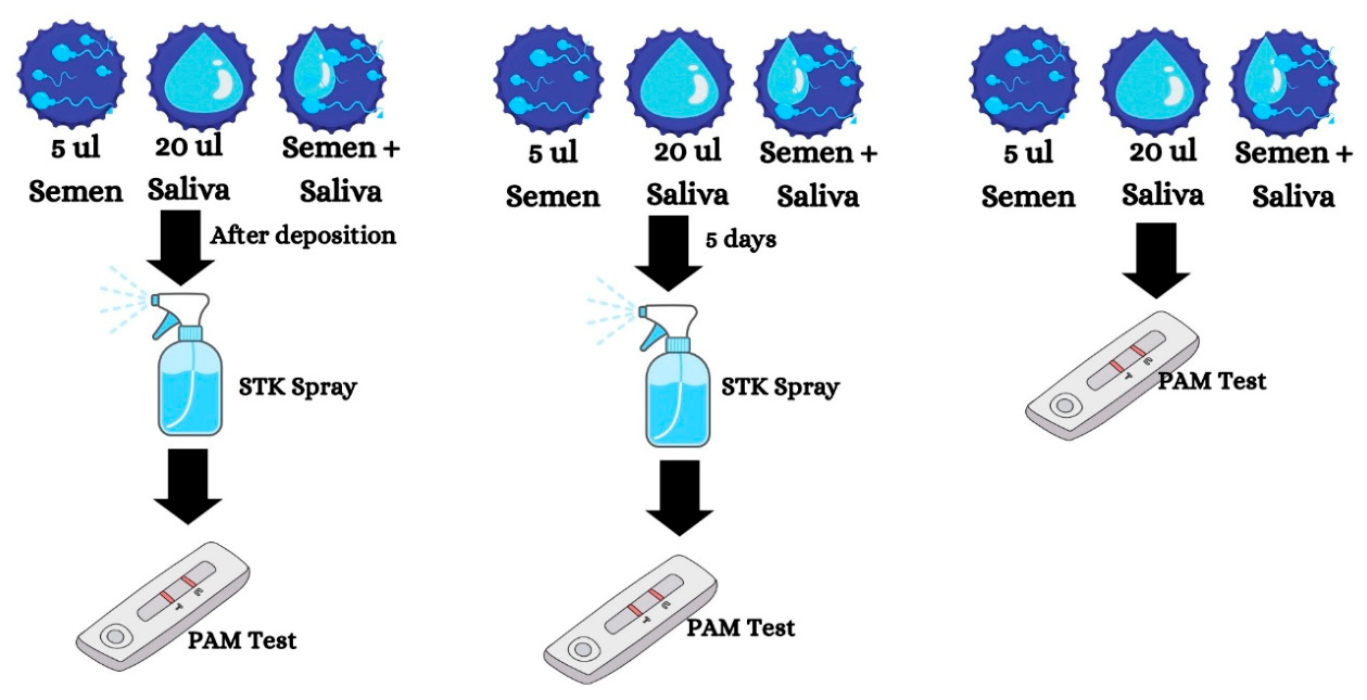 Genes 17 01269 g002 Genes 17 01269 g002