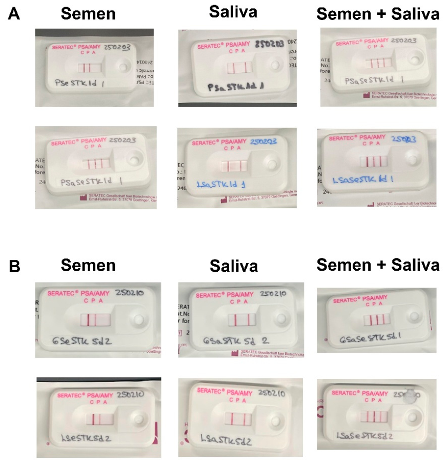 Genes 17 01269 g006 Genes 17 01269 g006