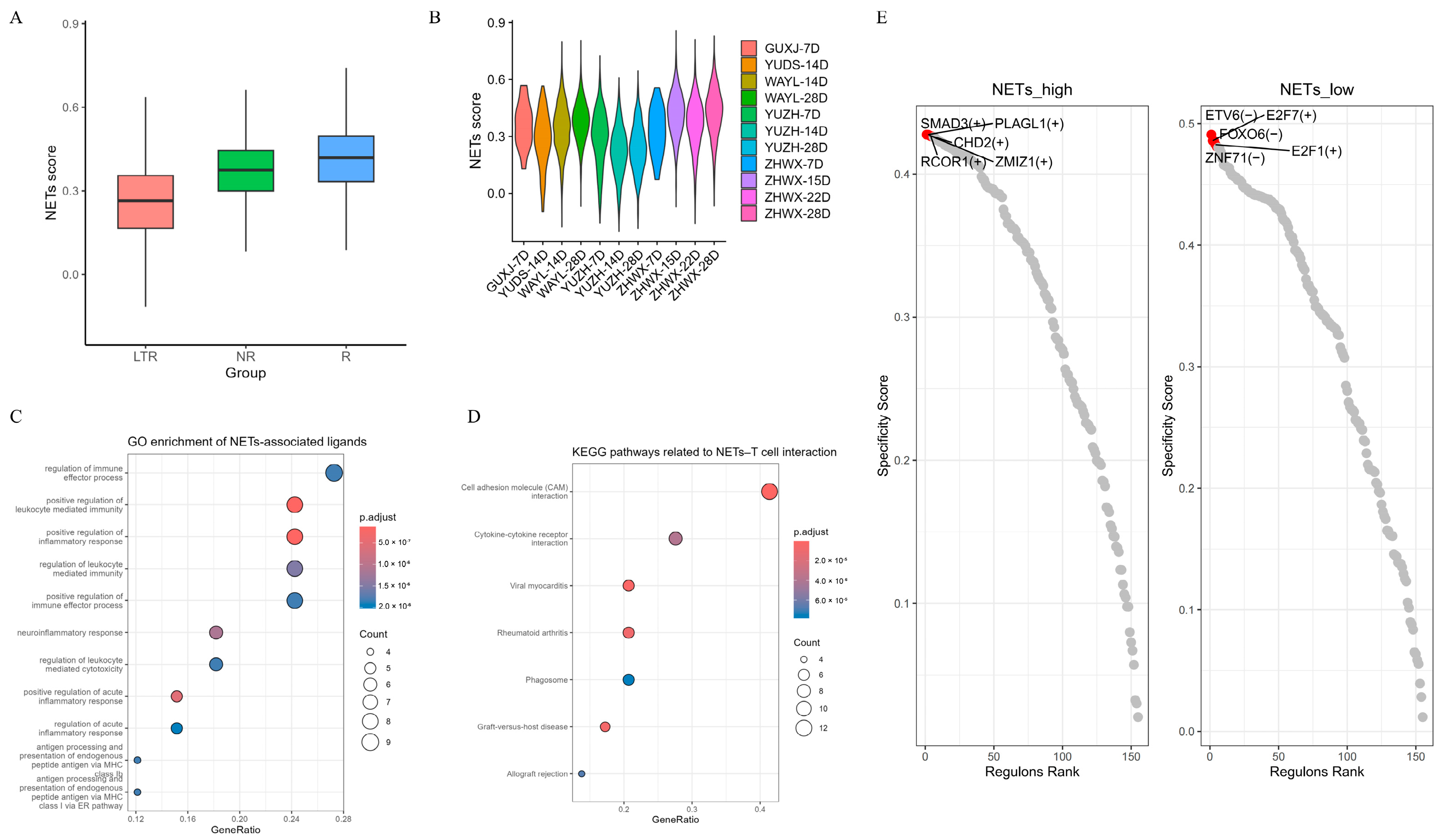Genes 17 01272 g003 Genes 17 01272 g003