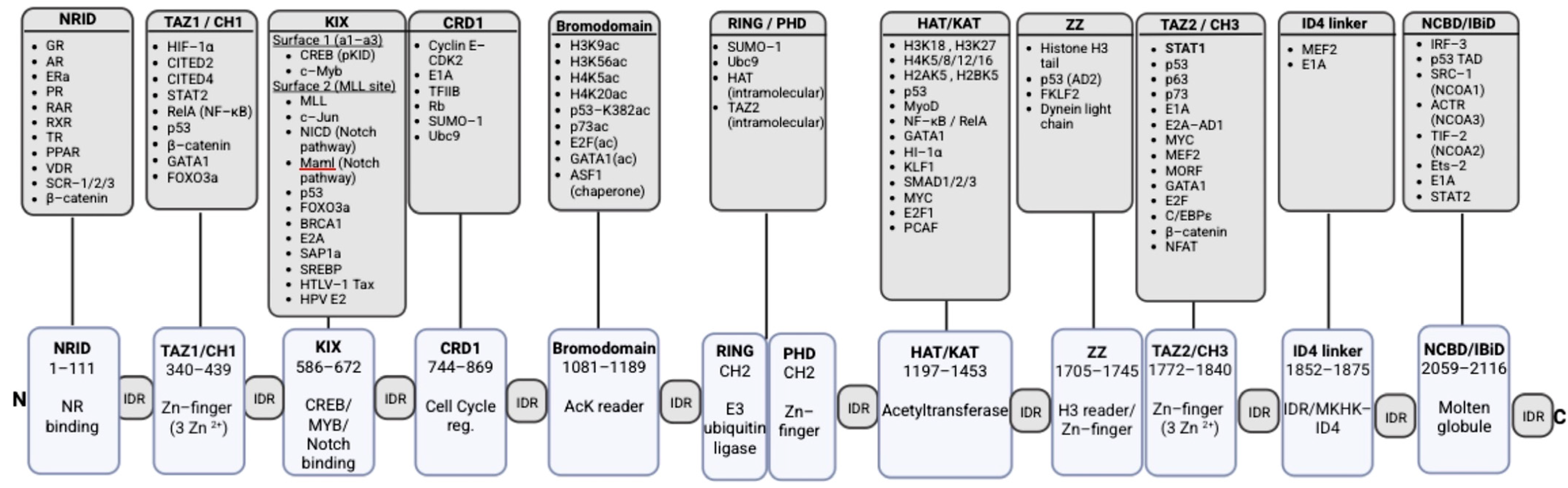 Genes 17 01285 g001 Genes 17 01285 g001