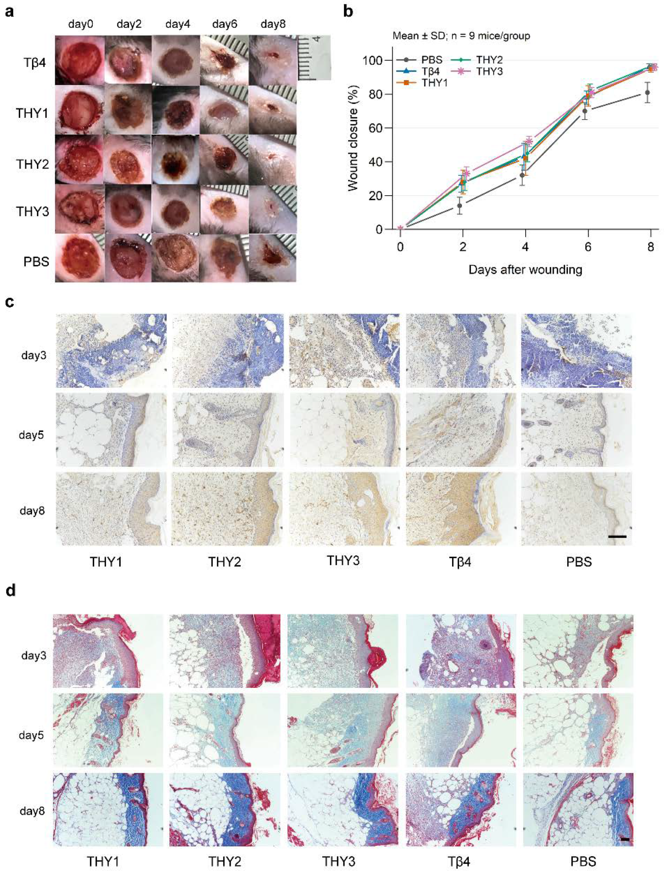 Genes 17 01296 g001 Genes 17 01296 g001