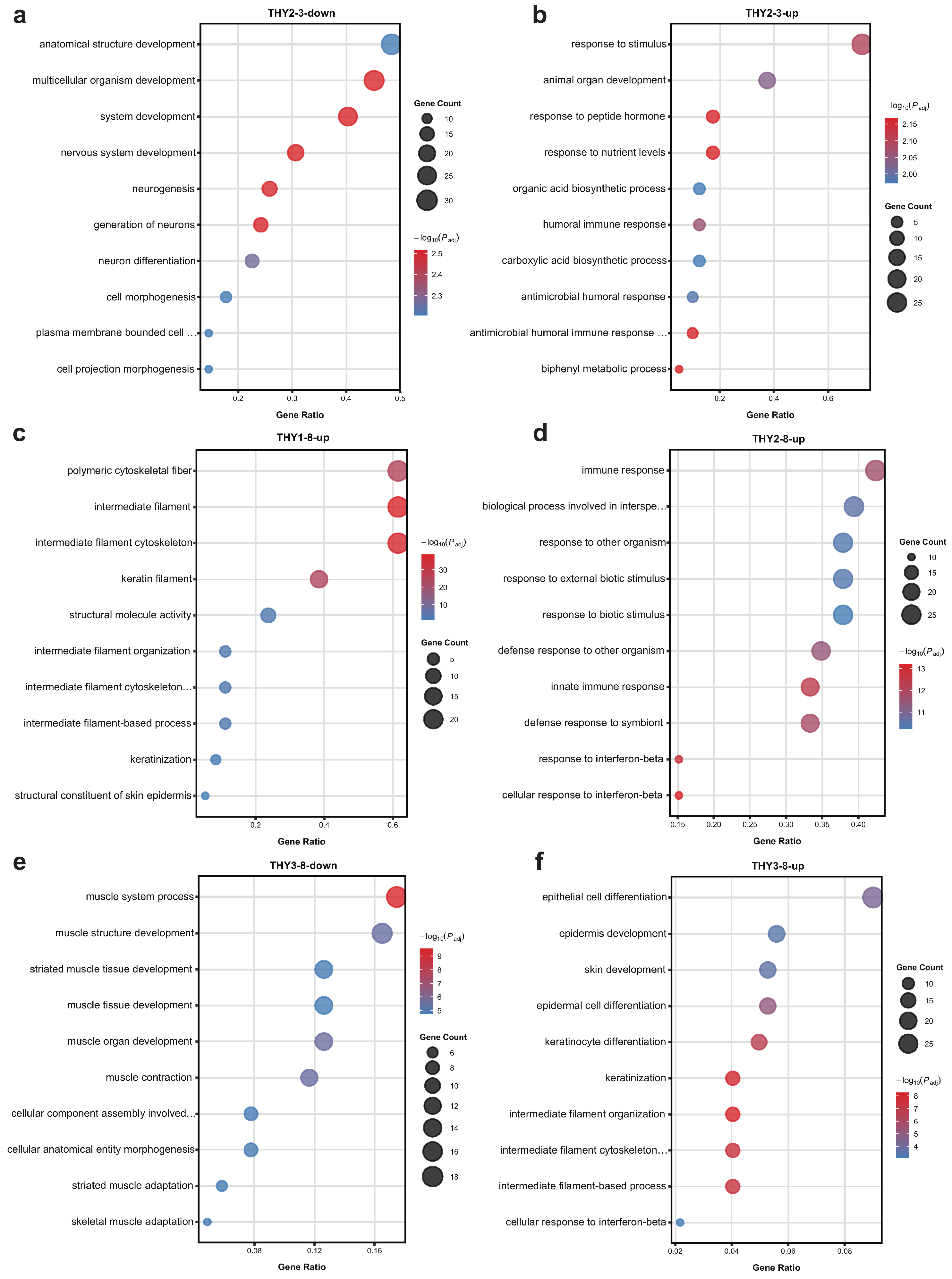 Genes 17 01296 g004 Genes 17 01296 g004