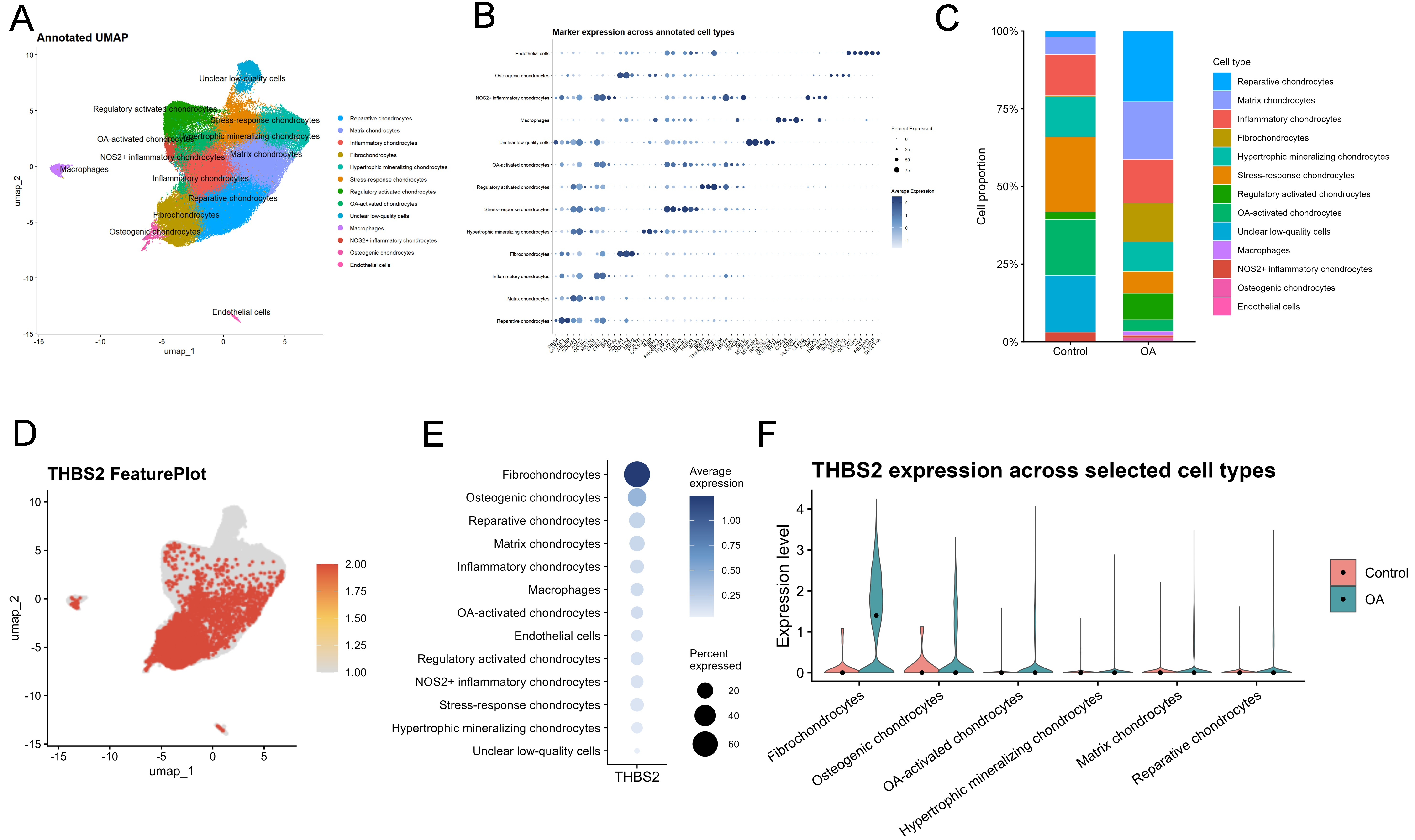 Genes 17 01299 g004 Genes 17 01299 g004