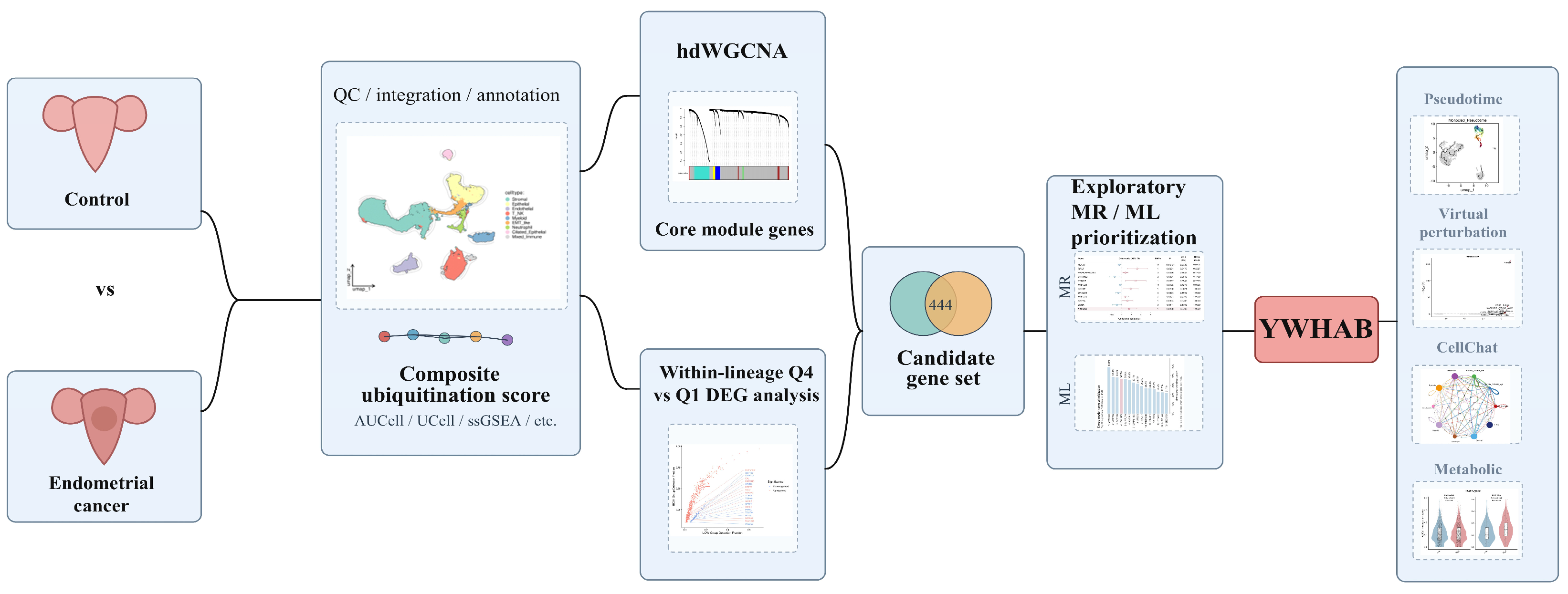 Genes 17 01316 g001 Genes 17 01316 g001
