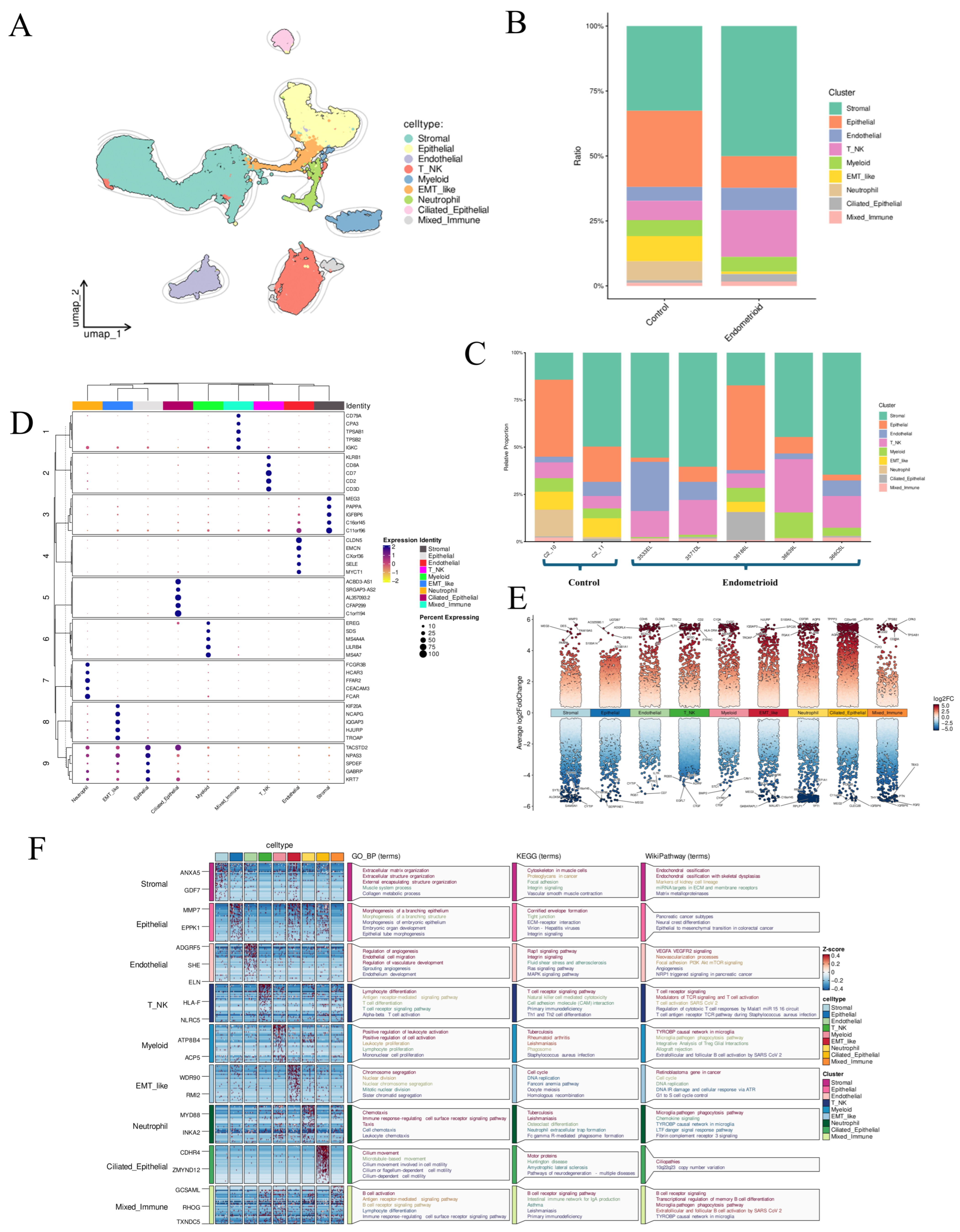Genes 17 01316 g002 Genes 17 01316 g002
