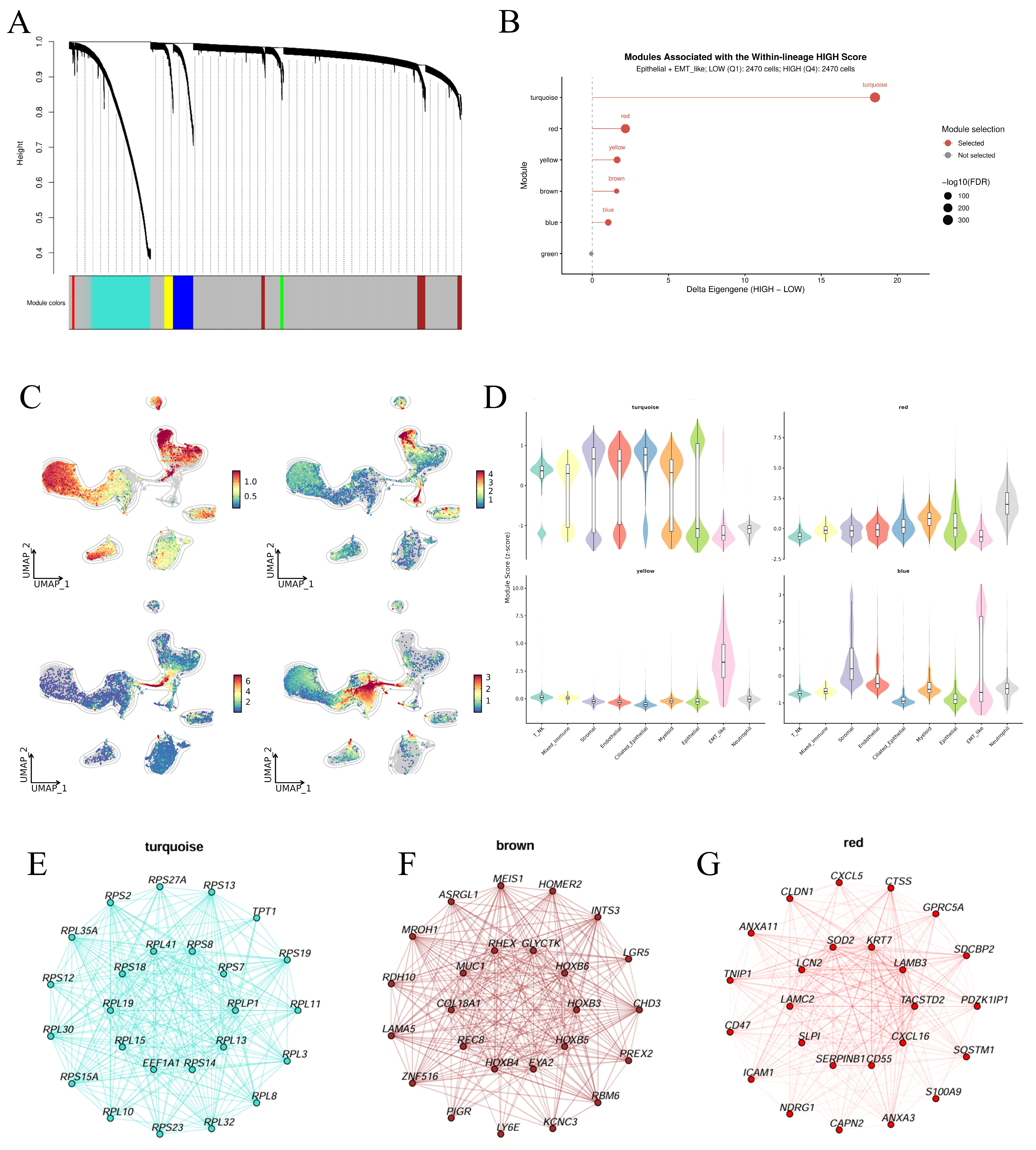 Genes 17 01316 g004 Genes 17 01316 g004