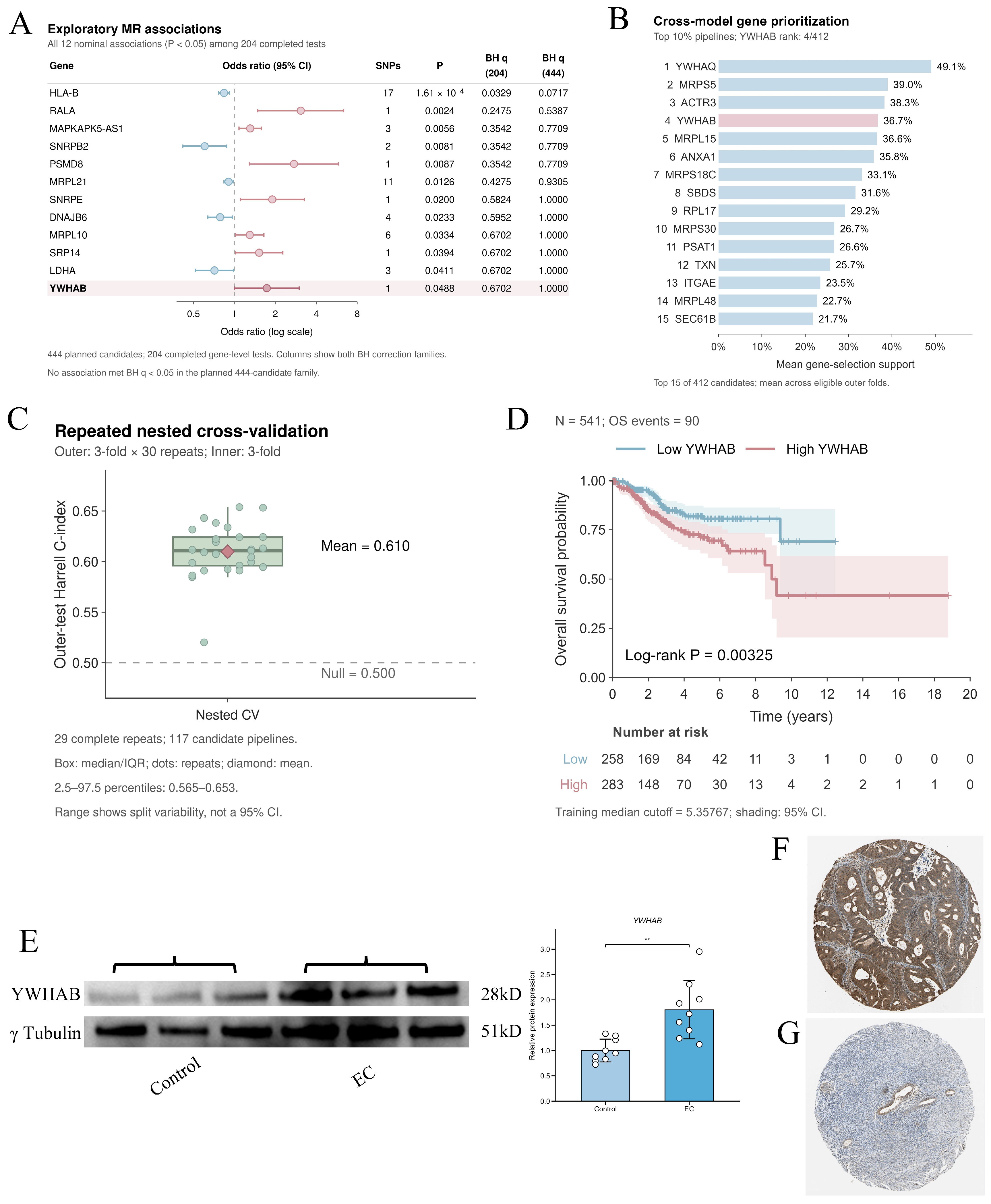 Genes 17 01316 g006 Genes 17 01316 g006