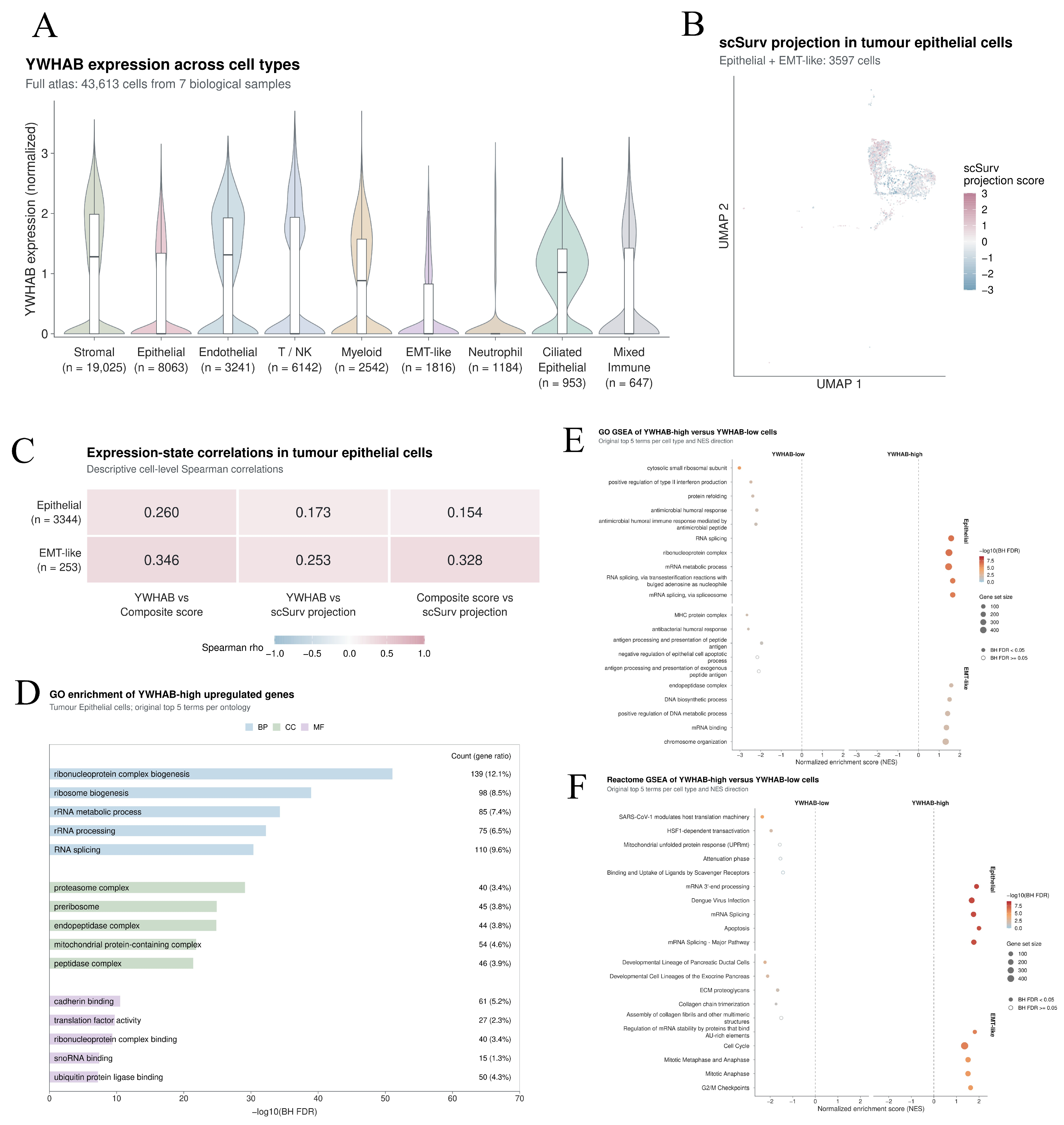 Genes 17 01316 g007 Genes 17 01316 g007