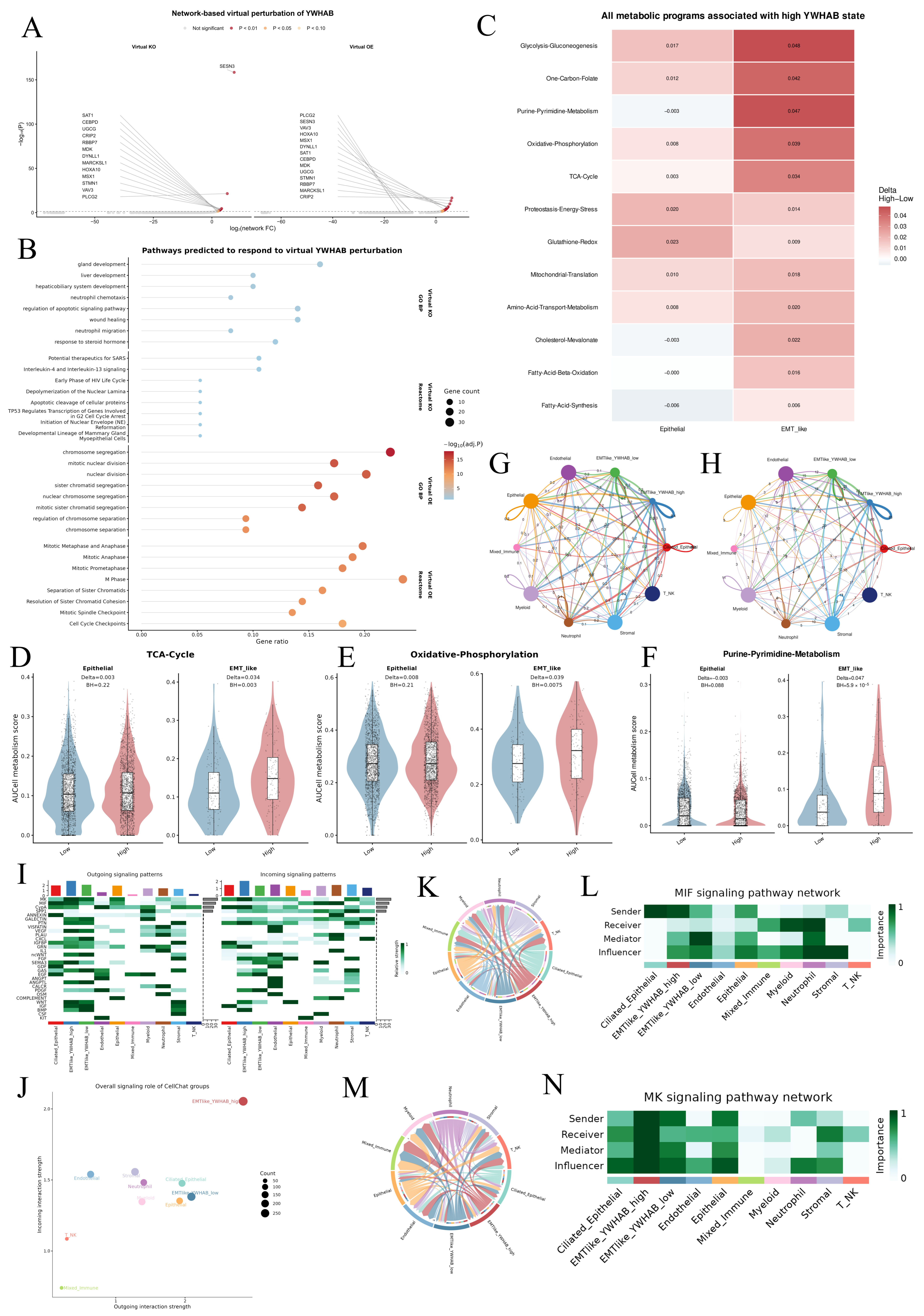 Genes 17 01316 g009 Genes 17 01316 g009