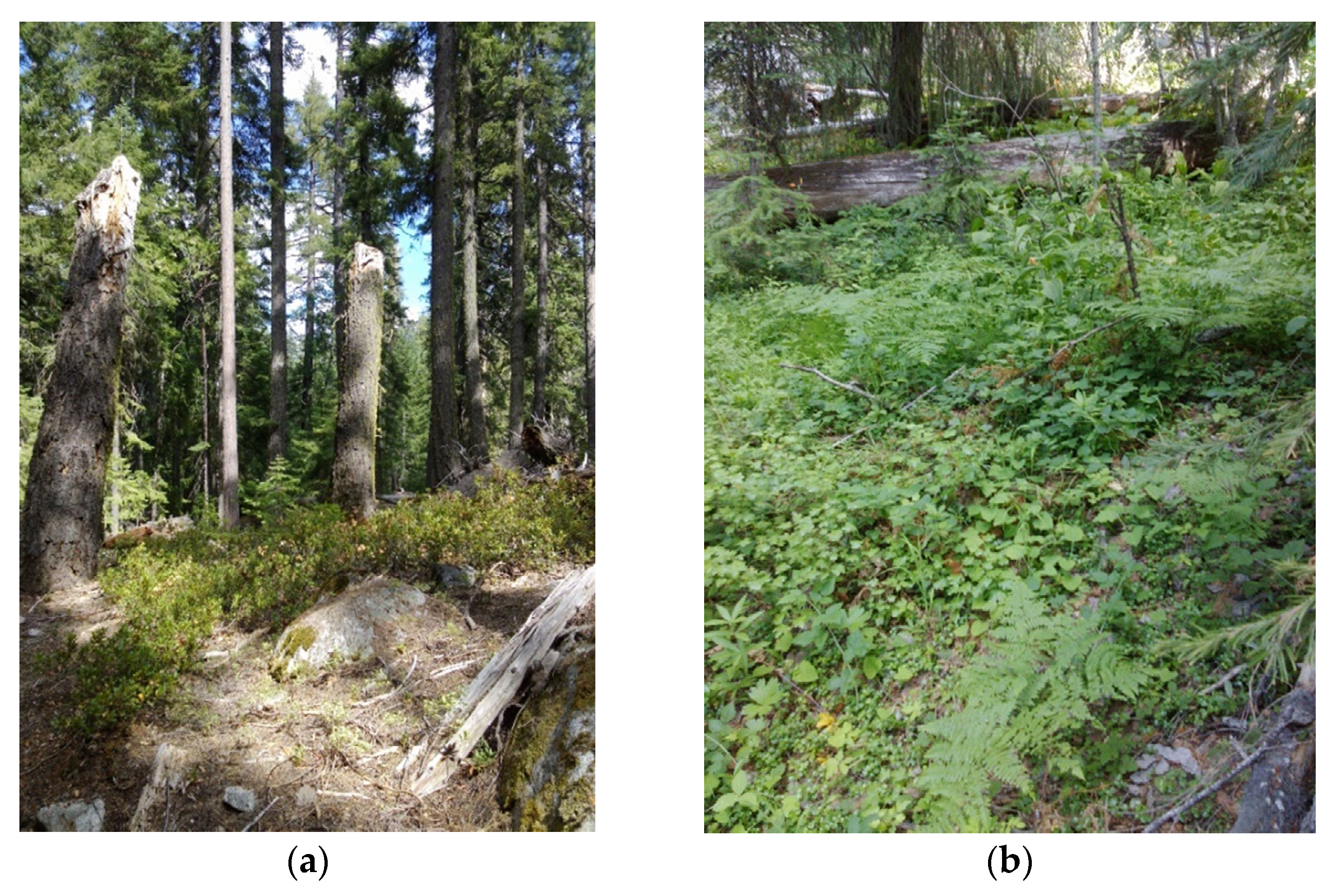 Geographies 01 00006 g002