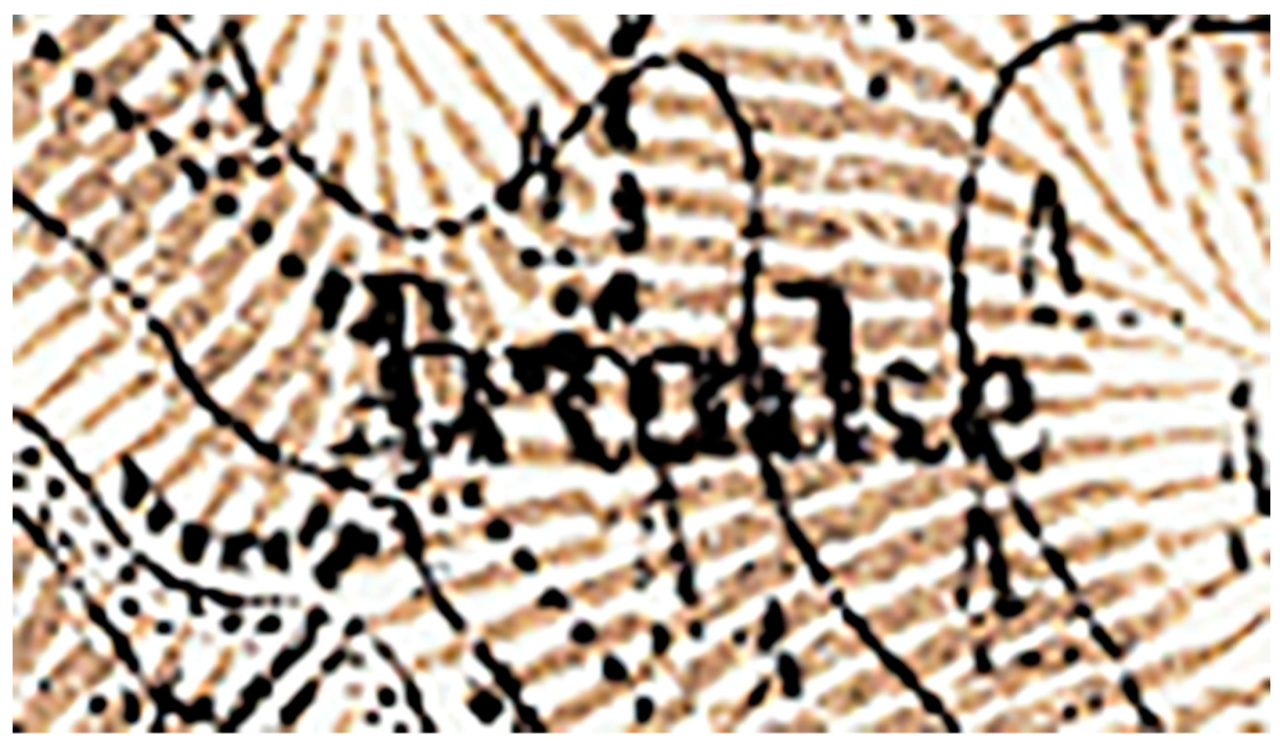 Geographies 03 00021 g003