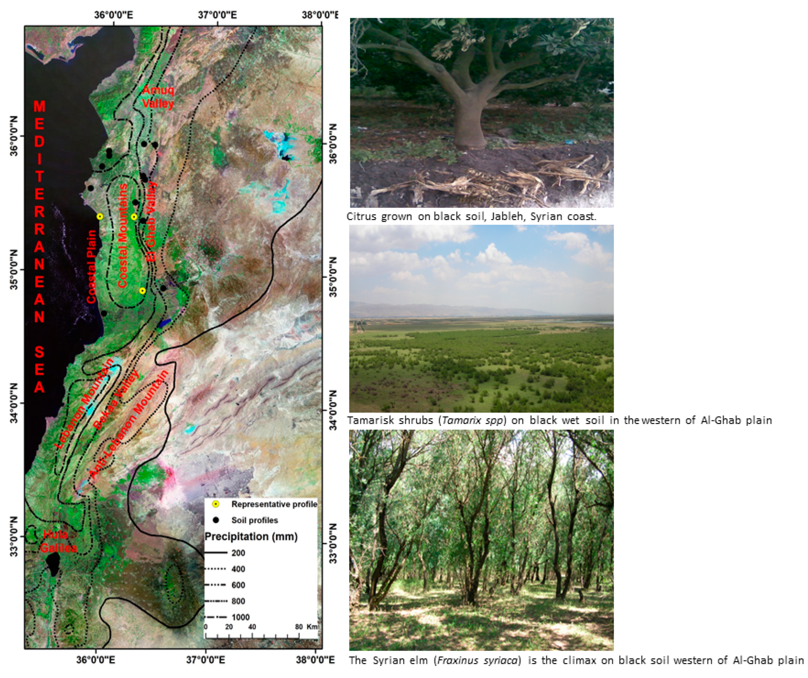 Geographies 04 00011 g001