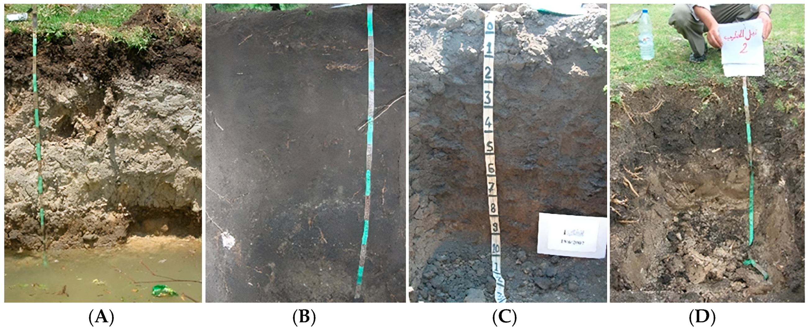 Geographies 04 00011 g004