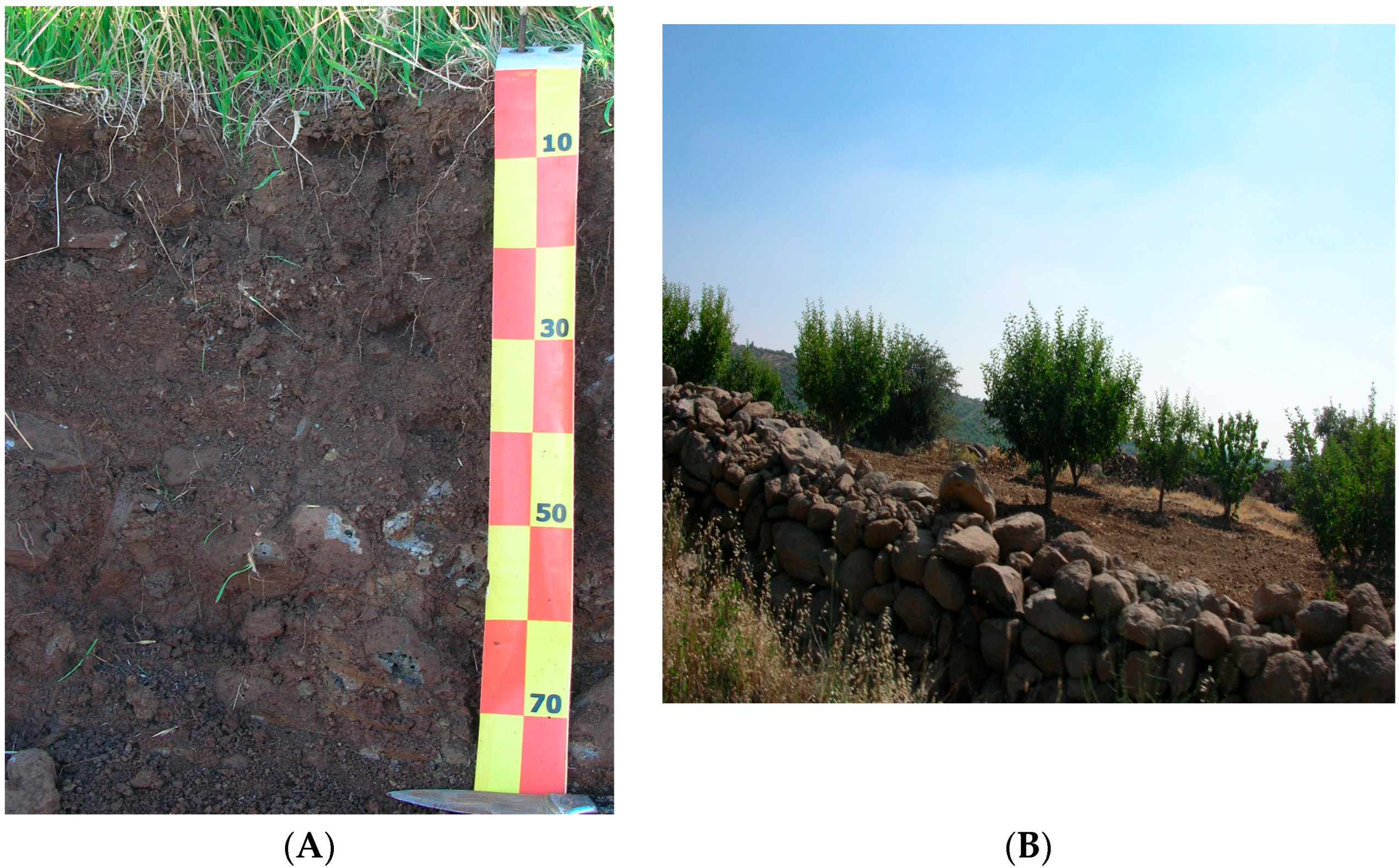 Geographies 04 00011 g005