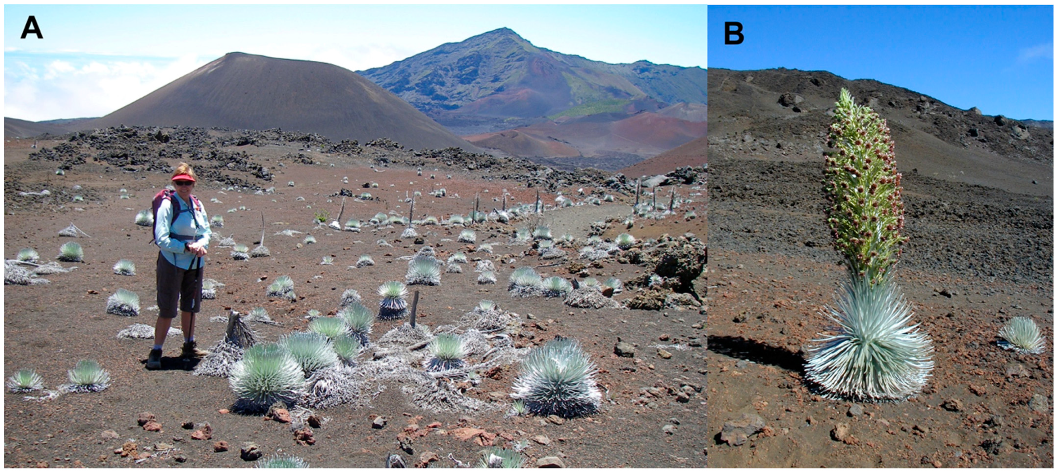 Geographies 04 00022 g004