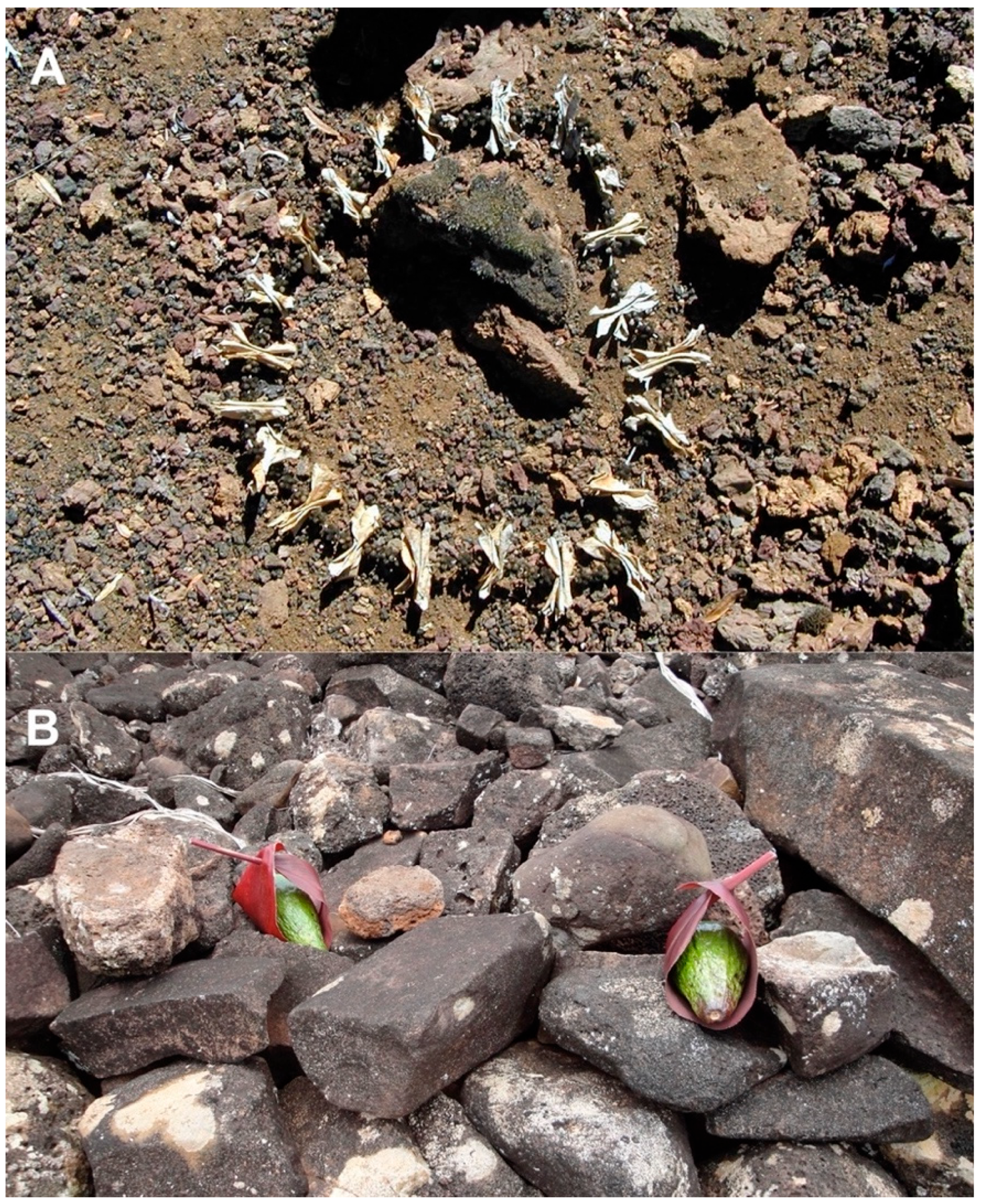 Geographies 04 00022 g006