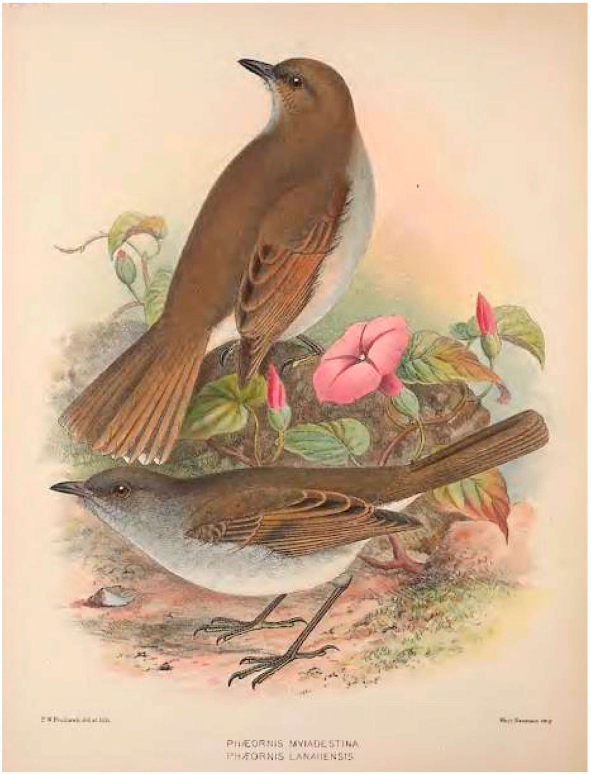 Geographies 04 00022 g012