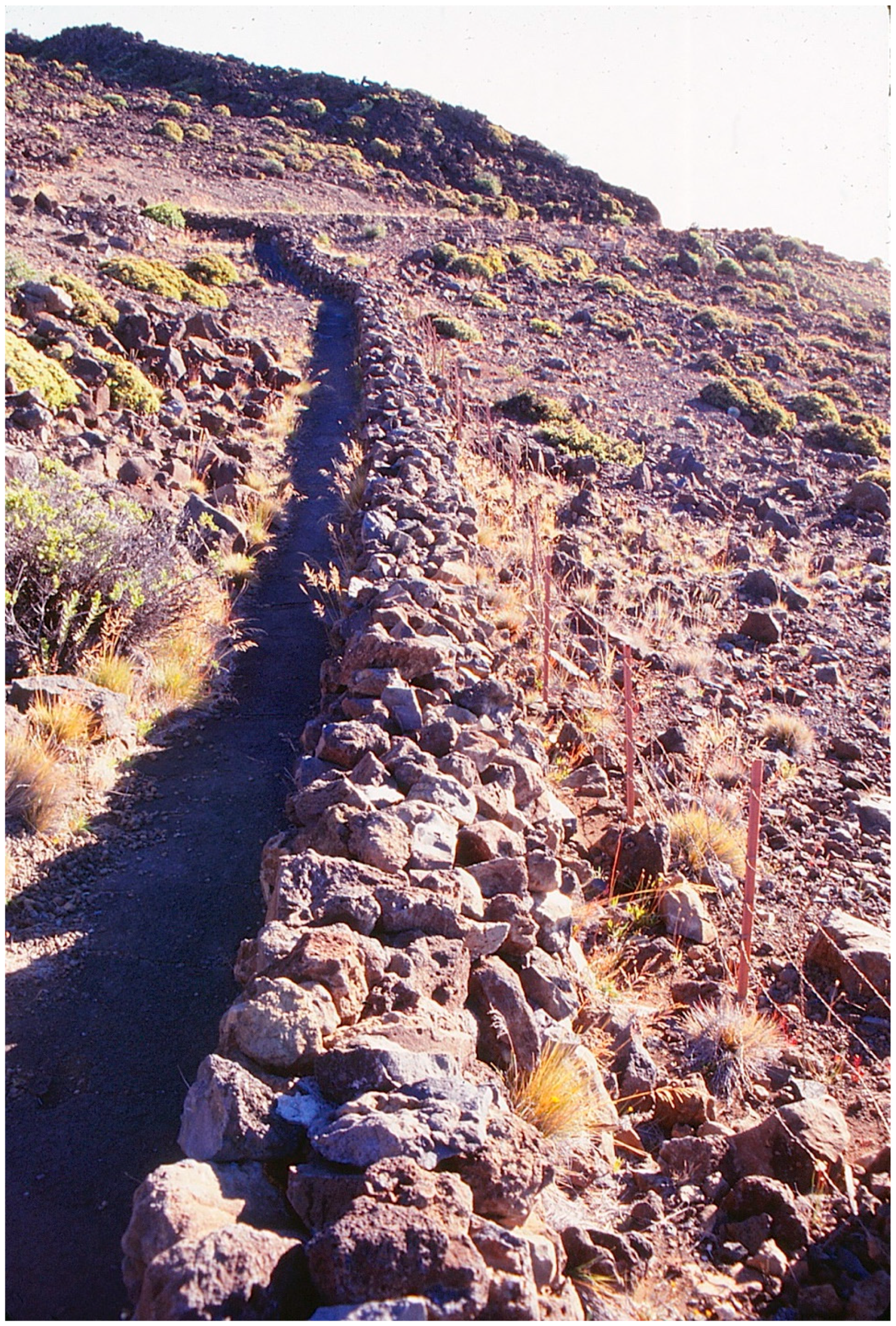 Geographies 04 00022 g013