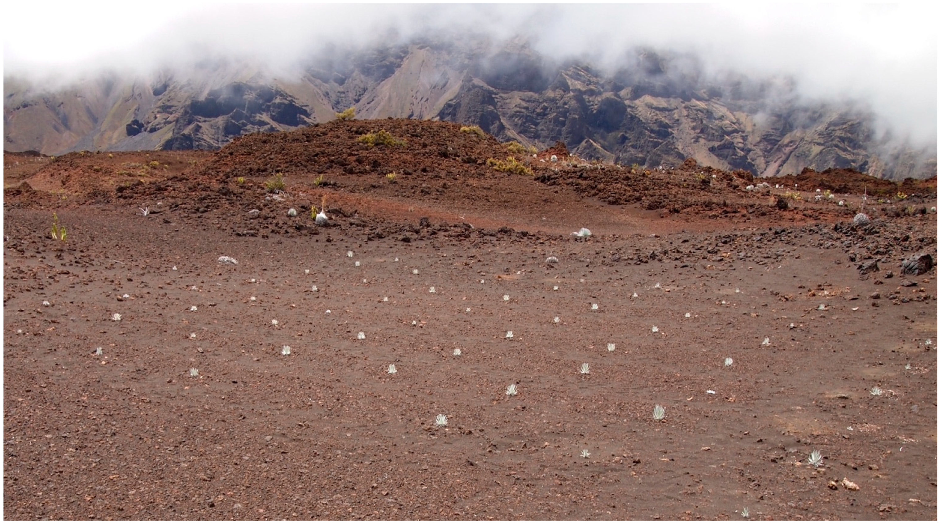 Geographies 04 00022 g015