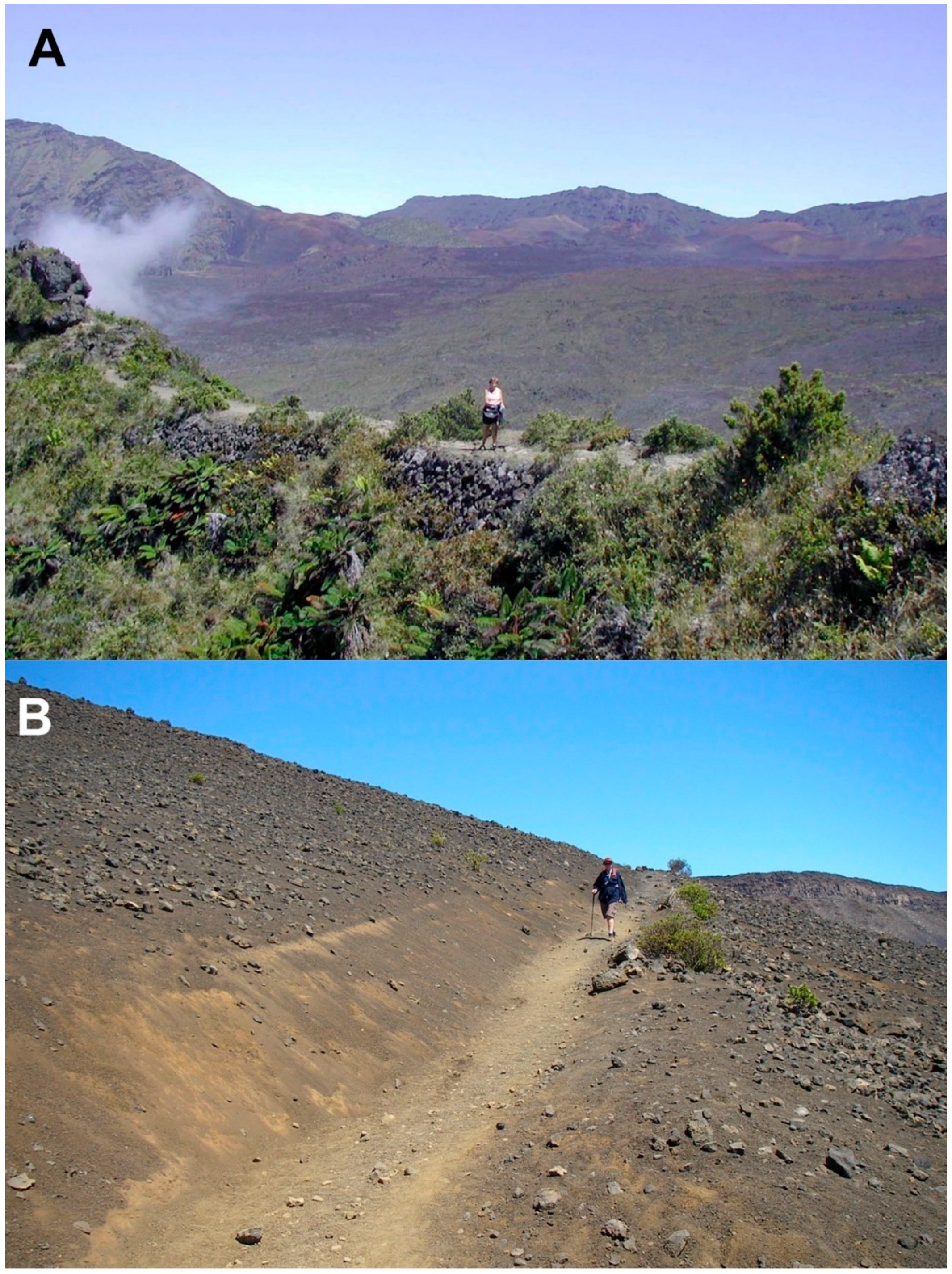 Geographies 04 00022 g019