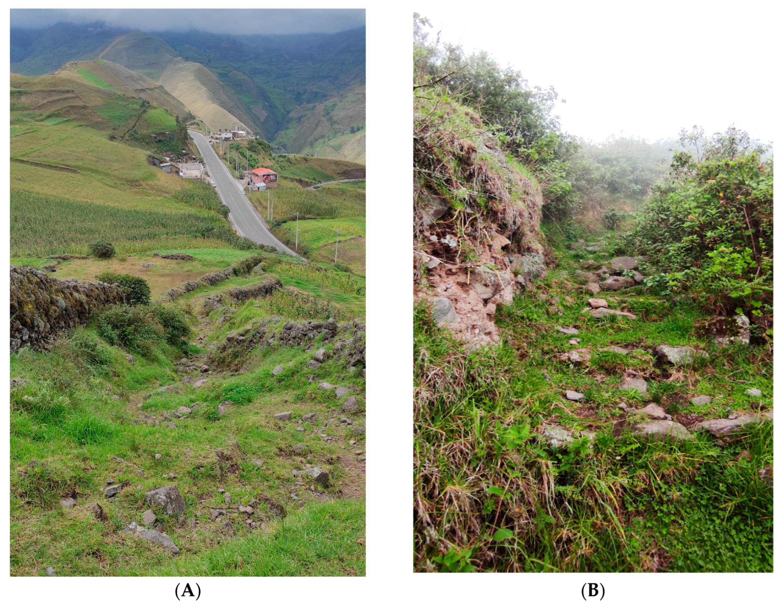 Geographies 04 00029 g001