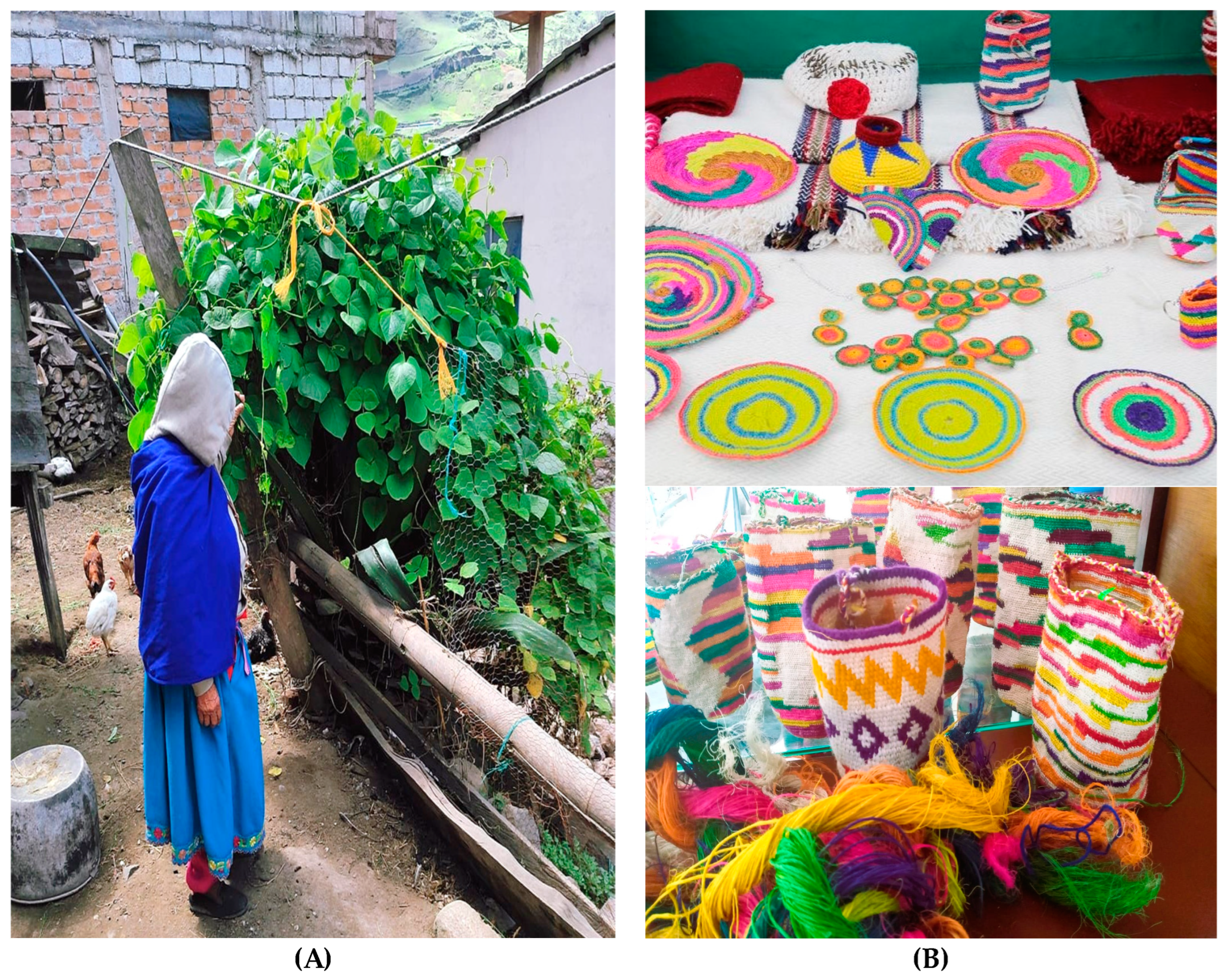 Geographies 04 00029 g003