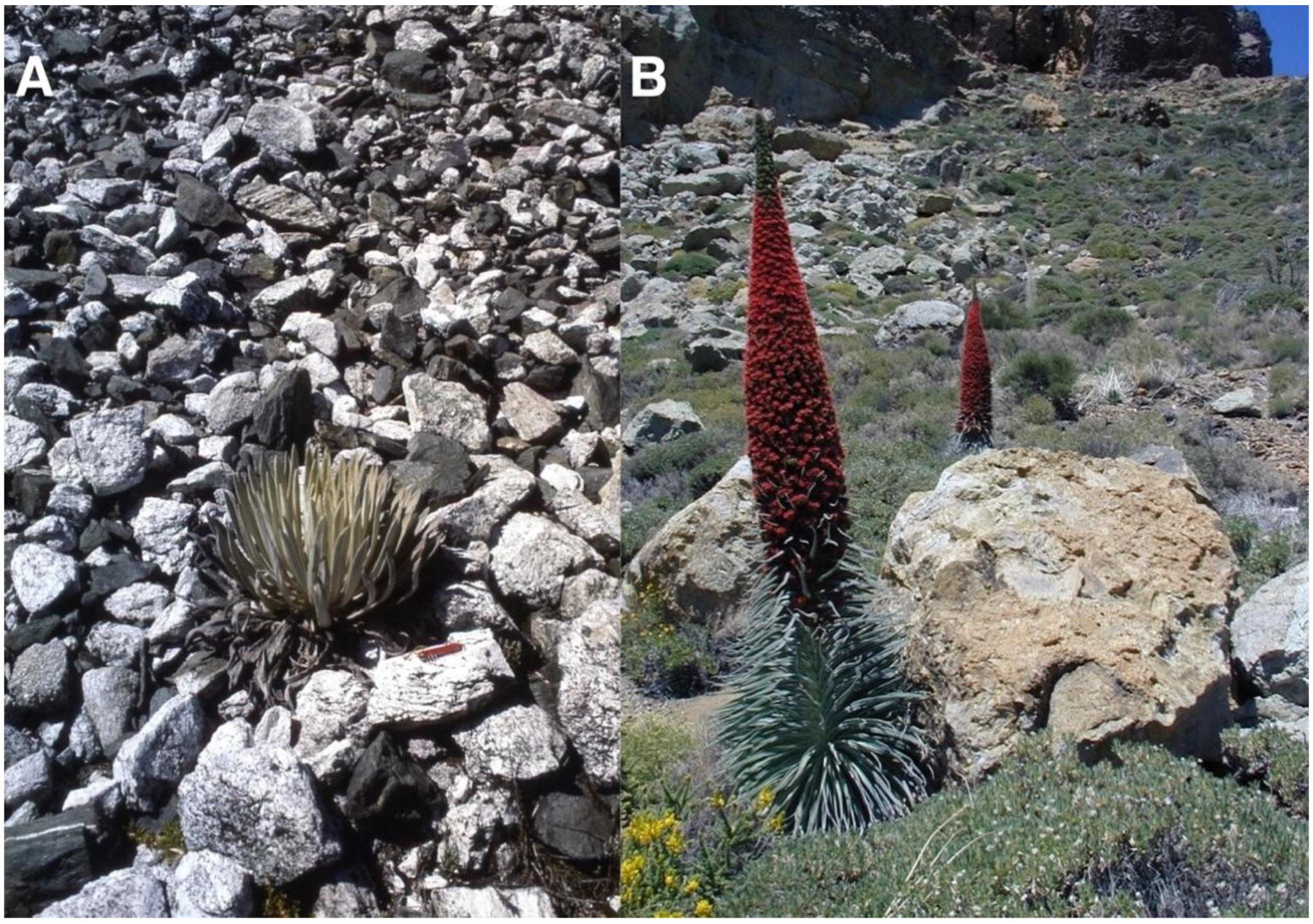 Geographies 05 00013 g001