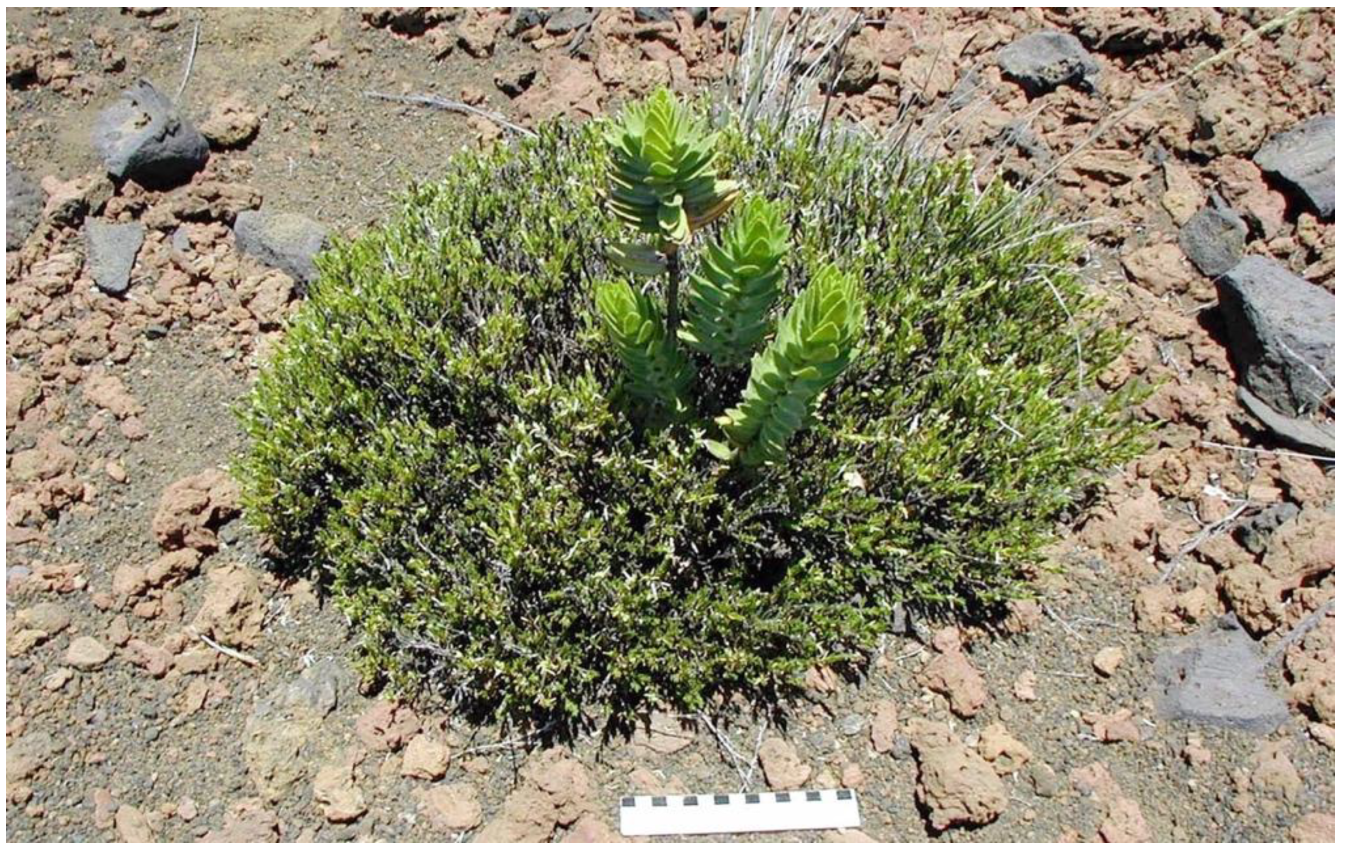 Geographies 05 00013 g002