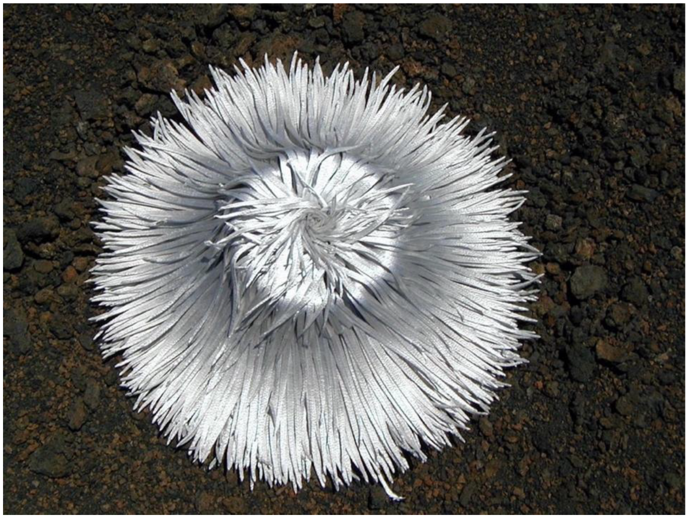 Geographies 05 00013 g004