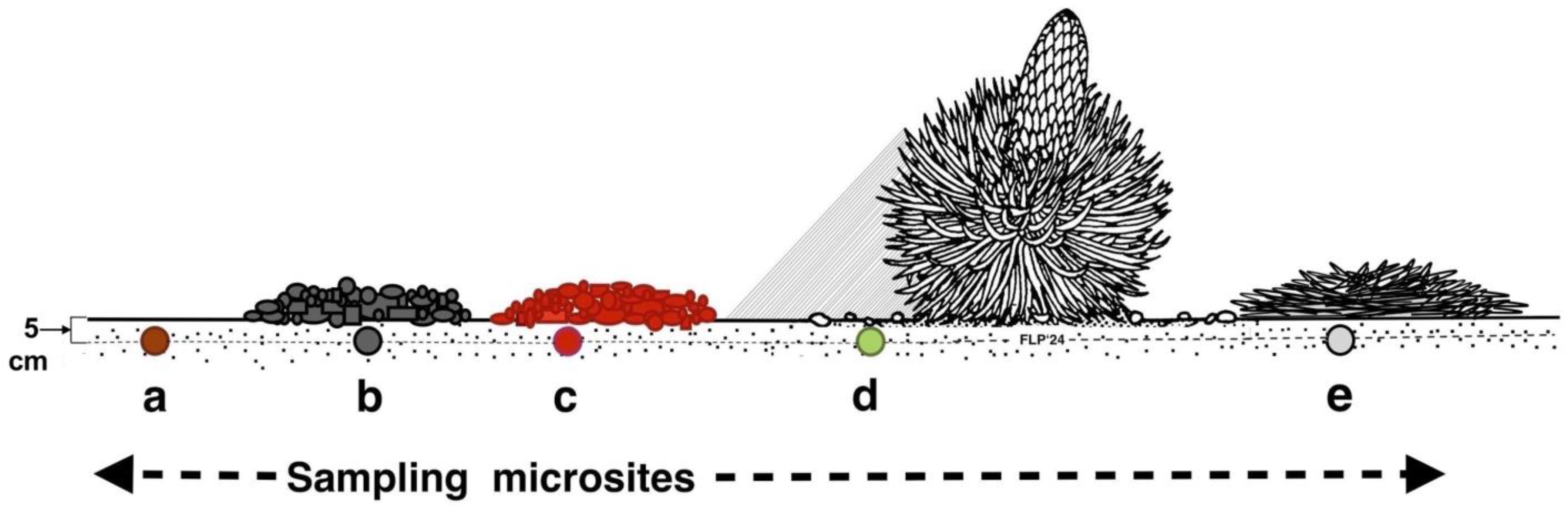 Geographies 05 00013 g007