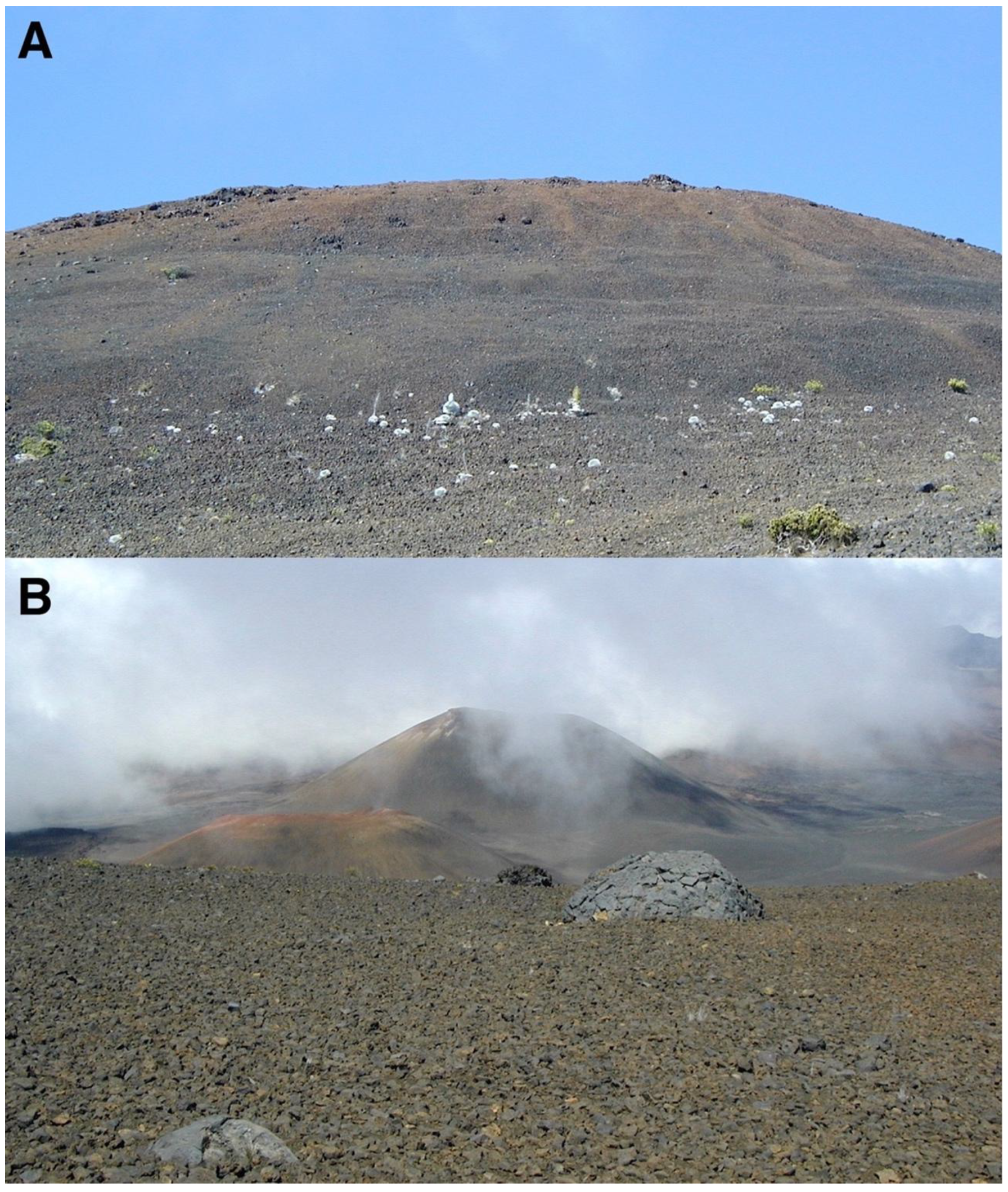 Geographies 05 00013 g011