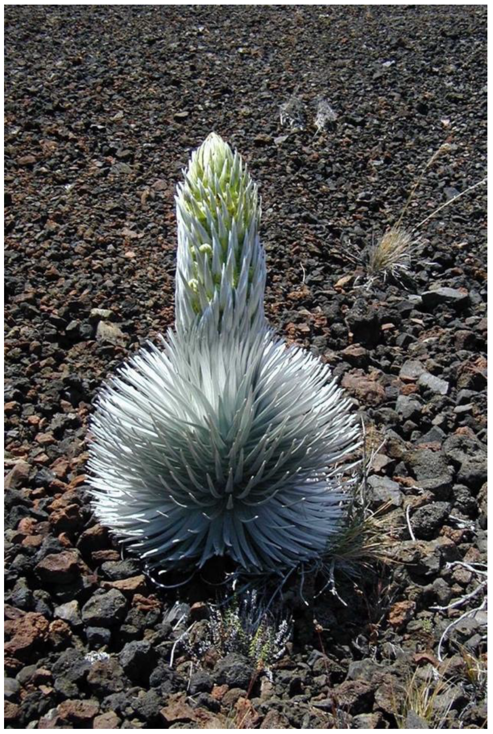 Geographies 05 00013 g012